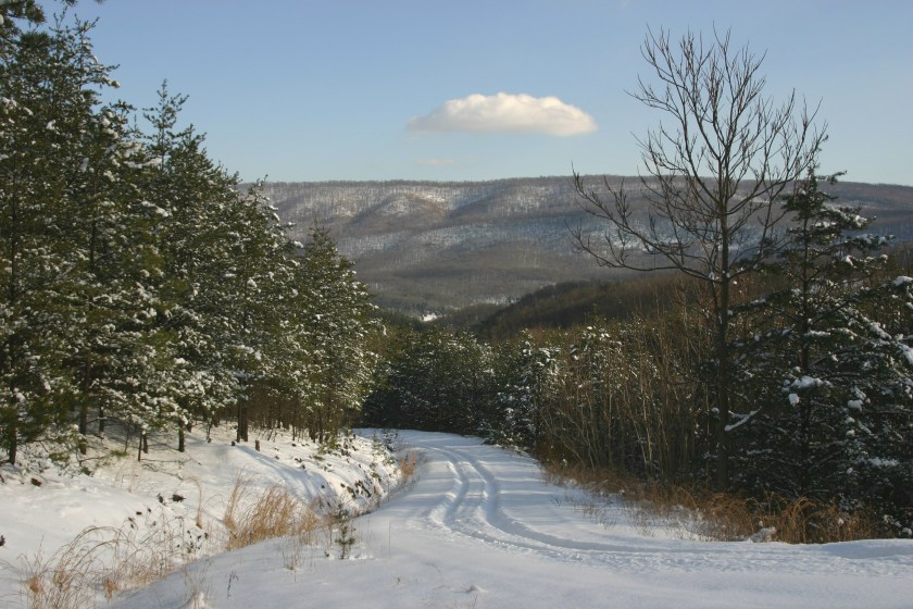A snow covered road in West Virginia. A set of tire tracks leads down the hill. There is one lone cloud in the sky.