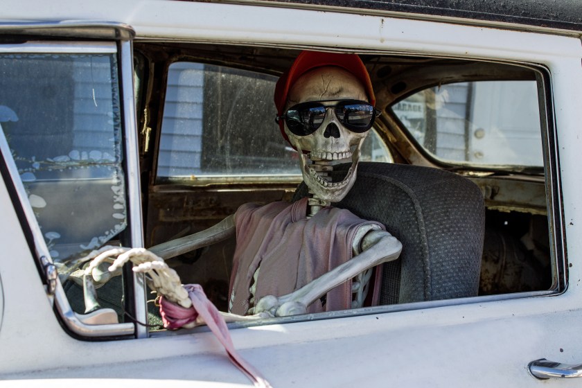 Smiling Skeleton in Sunglasses and a Red Baseball Cap Driving a Car