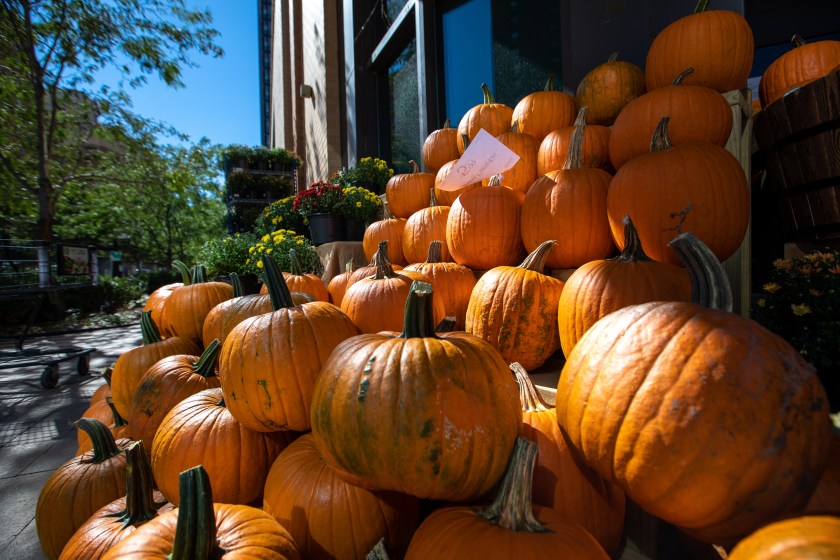 WASHINGTON D.C., UNITED STATES - SEPTEMBER 28: A view of the stalls with pumpkins and special products for the festival before the upcoming Halloween in Washington D.C., United States on September 28, 2022. The US is gearing up for pre-pandemic levels of trick-or-treating on Halloween, which is celebrated on the last day of October, featuring colorful costumes and horror-themed decorations. Despite the tumultuous economy in the USA, total spending is expected to notch a record $10.6 billion this year. (Photo by Yasin Ozturk/Anadolu Agency via Getty Images)