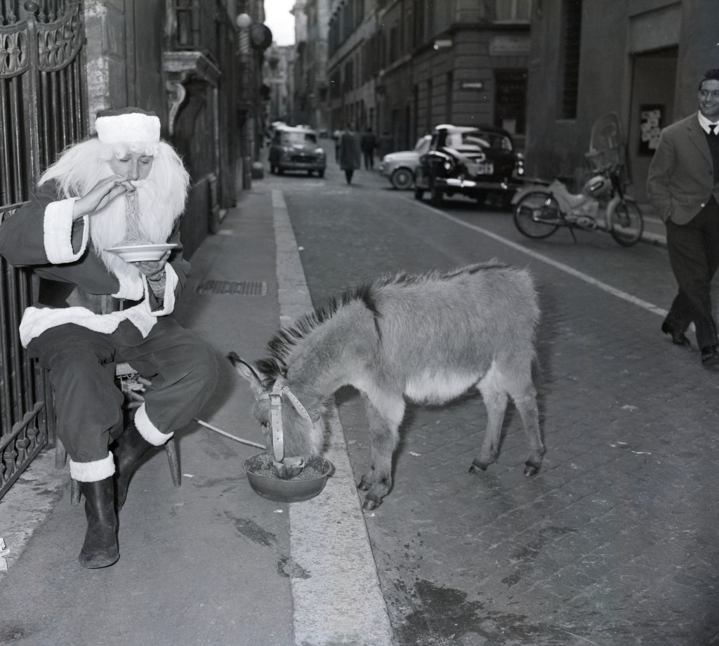 Father Christmas dines on a plate of spaghetti while his donkey enjoys a bowl of oats. 