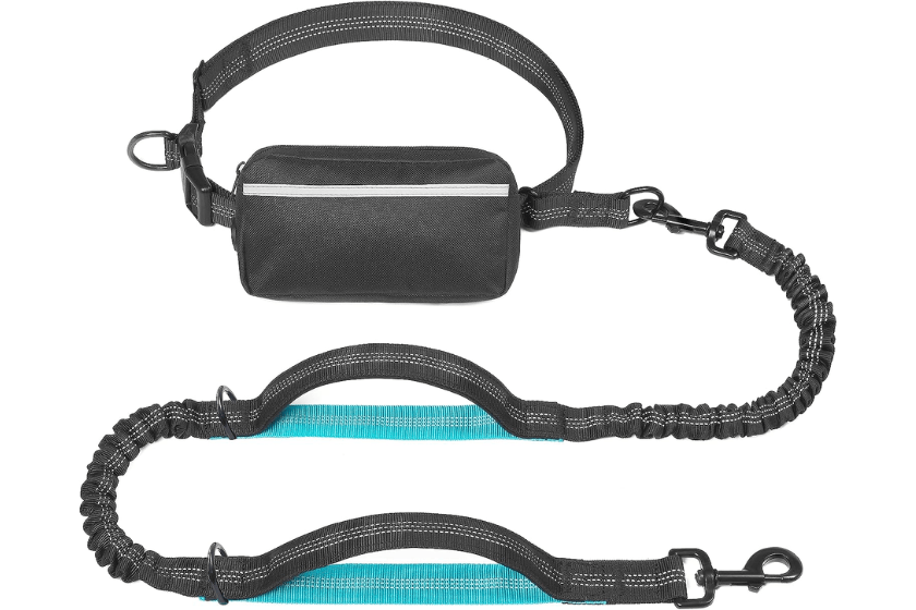 hands free dog leash