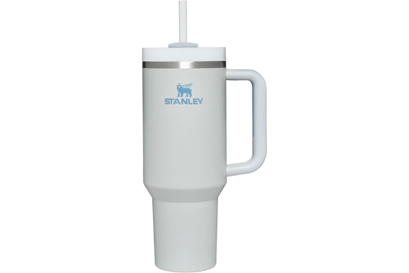 Stanley Tumbler gift under $50