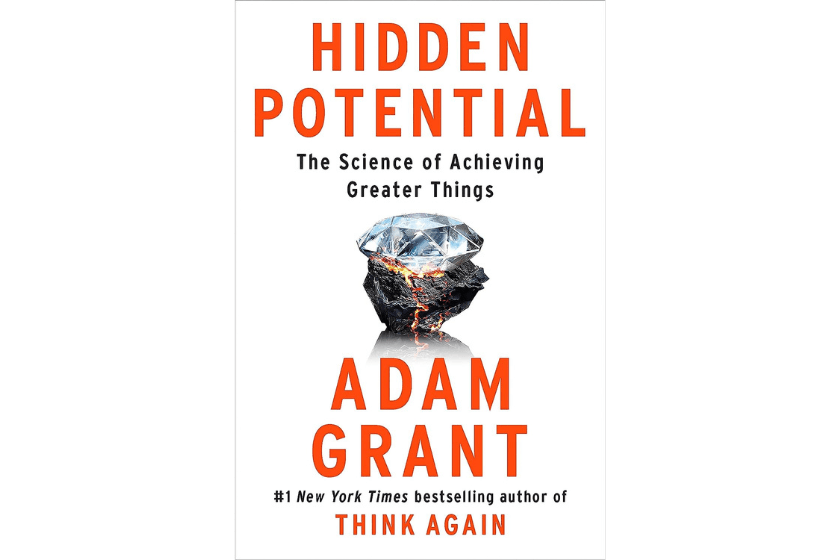 Hidden Potential Self Help Book