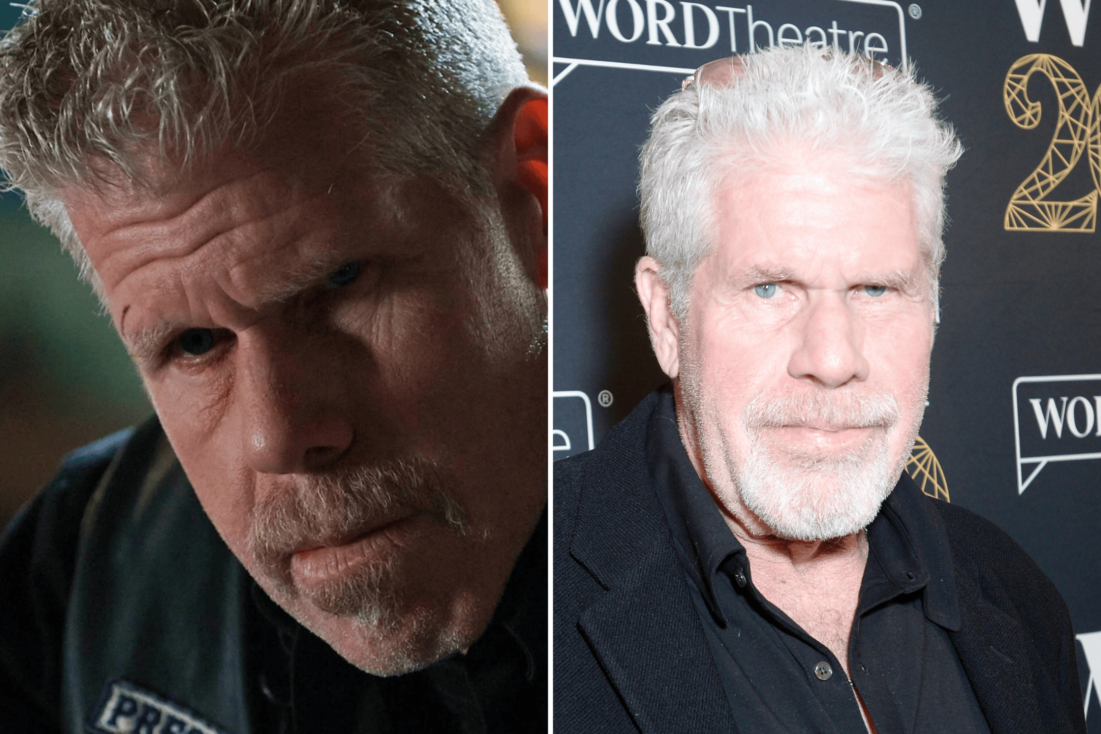 'Sons of Anarchy' Cast: Where are They Now?