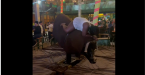 Backside Blunders One Courageous Woman's Misadventures With A Mechanical Bull