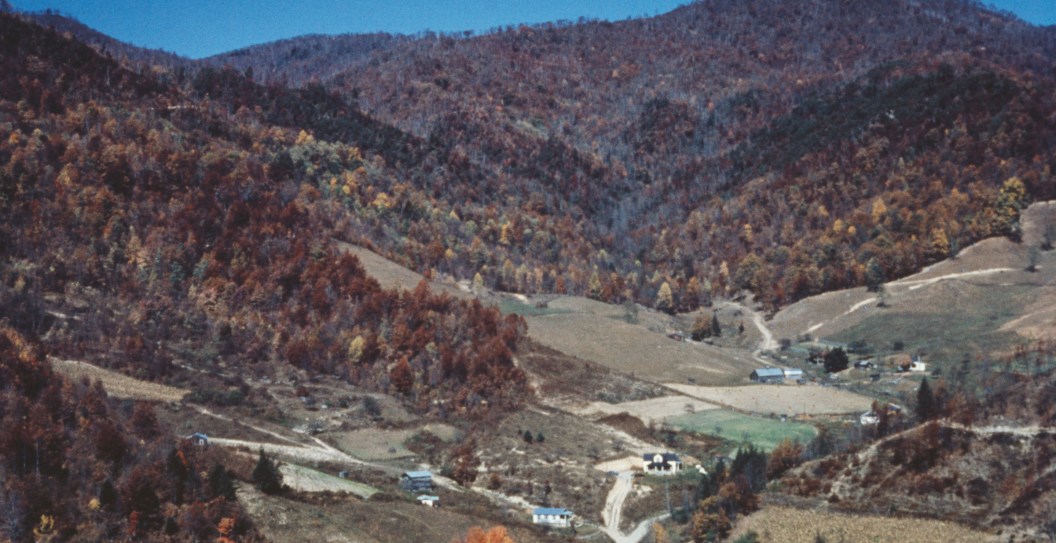 Internet Tourist Posts Misleading Photo Of Gatlinburg, And Tennesseans Are Having A Field Day