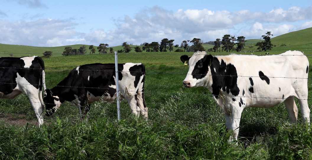 Two Firefighters Die After Manure Fall