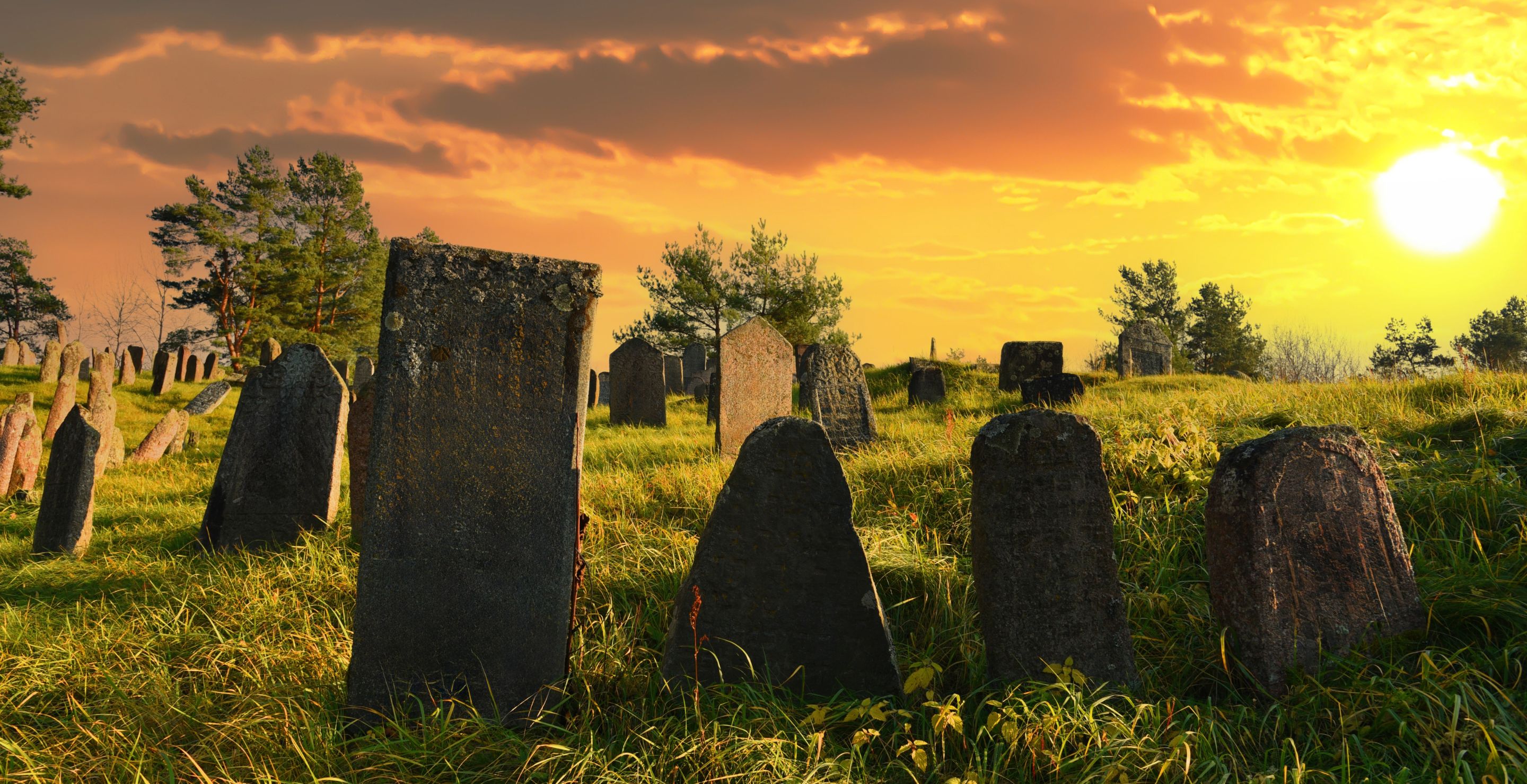 Man Fatally Shoots Another At Cemetery After He Threatens To Puke Near Friend's Grave