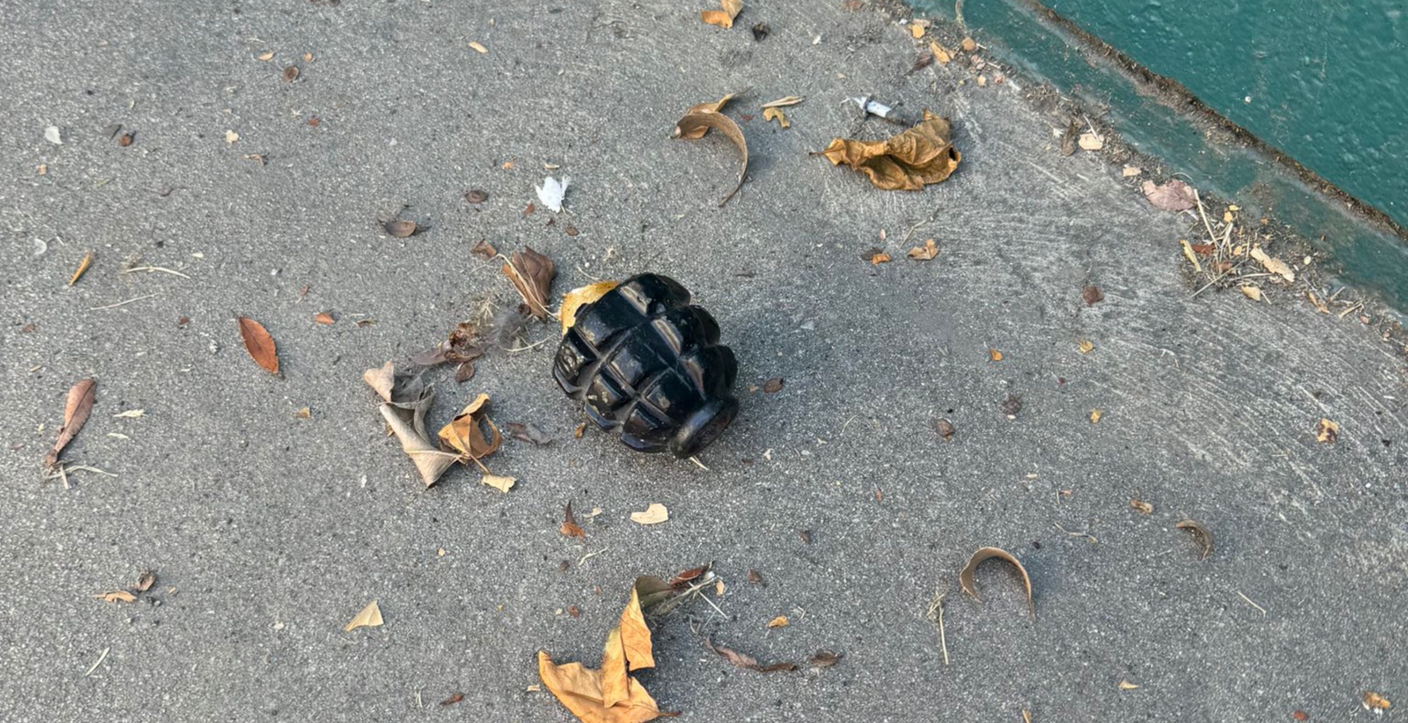 Shocked California Gardener Horrified To Find Four Grenades In Bushes