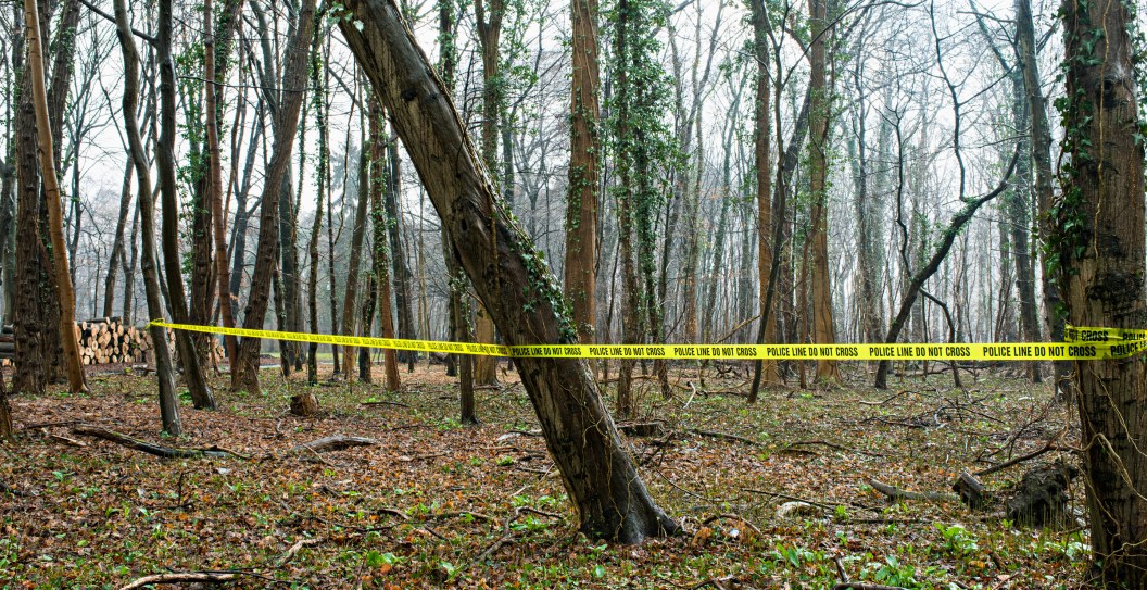 paul lowe murdered on hiking trail