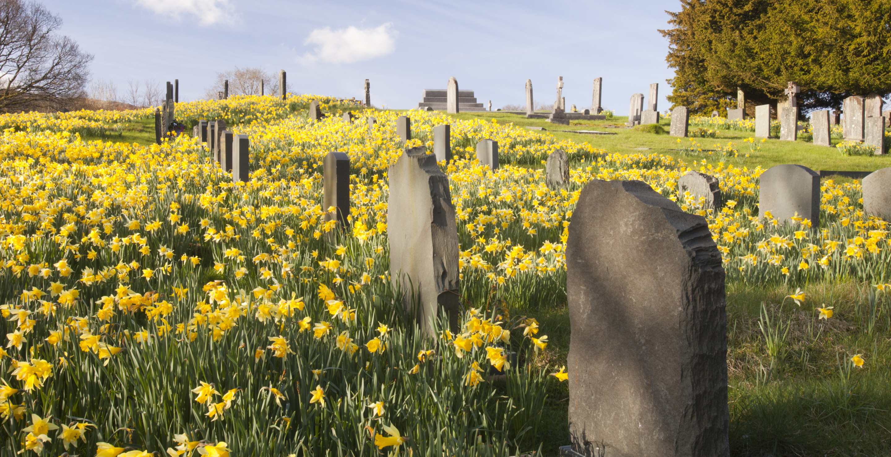 Cemetery Charges Mourners For VIP Pass To Visit Relatives