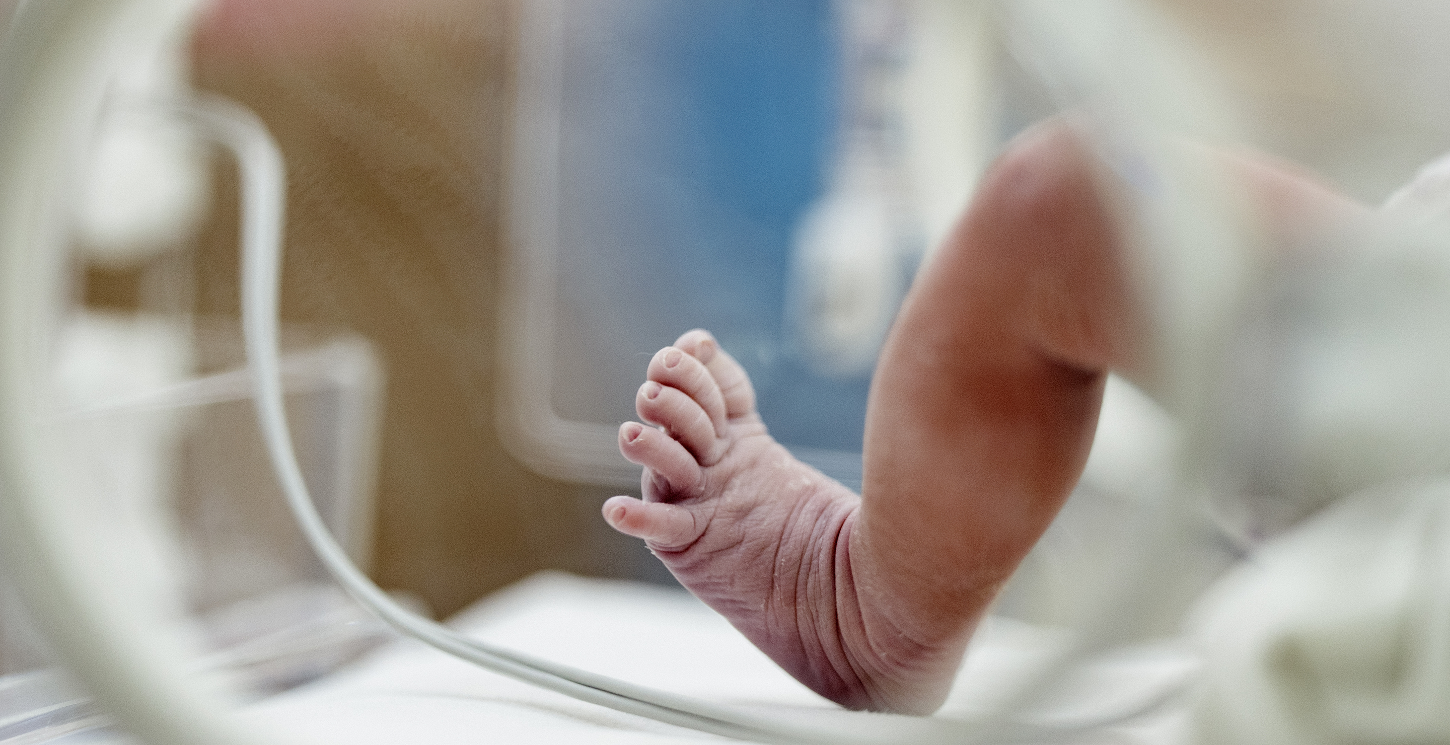 a month old starved to death