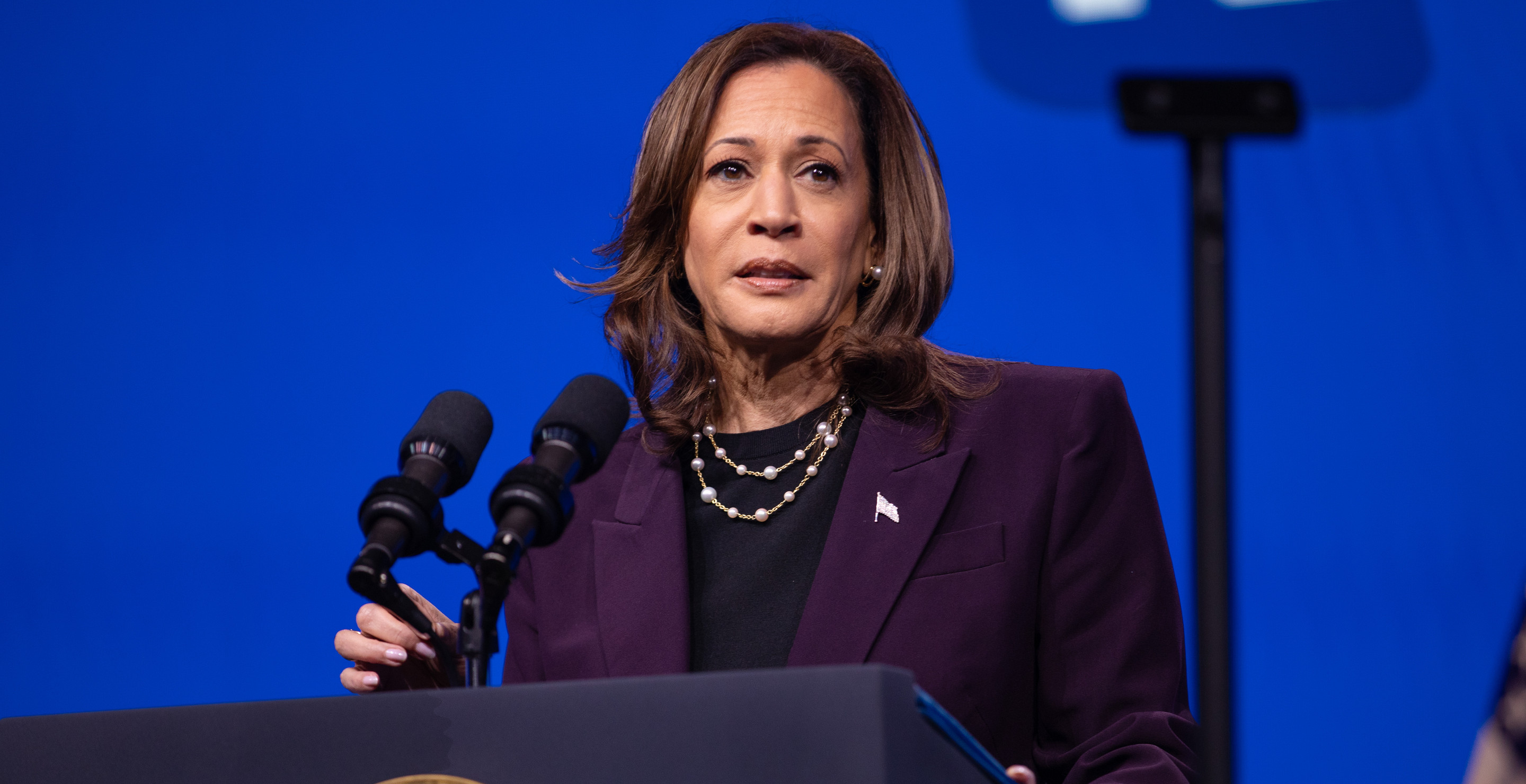 Kamala Harris Breaks Silence For First Time After Election, Immediately Roasted By Internet