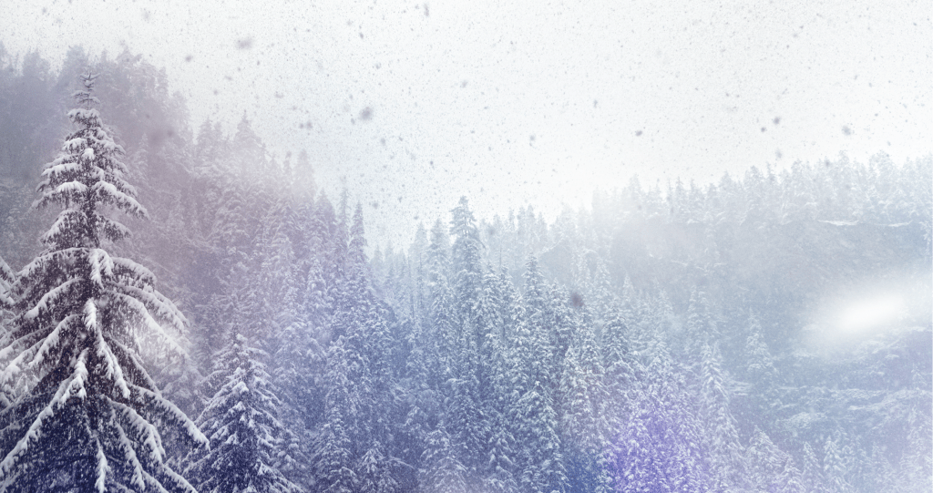 Snowing White Christmas Elvis Christmas Song