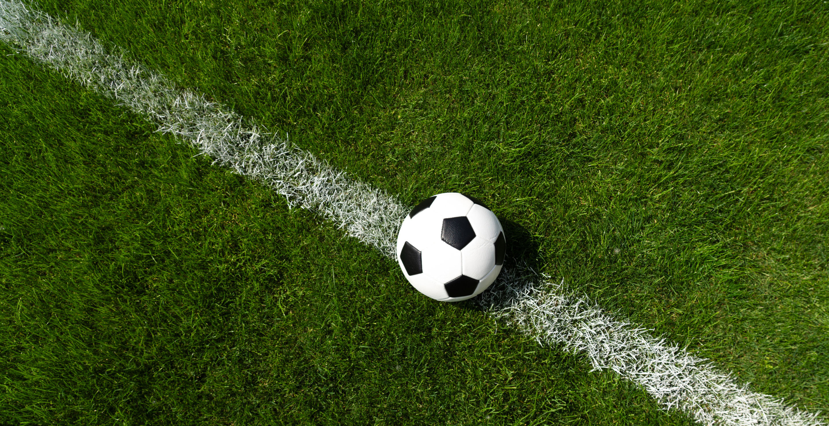 man brings grandfather's skull to soccer game