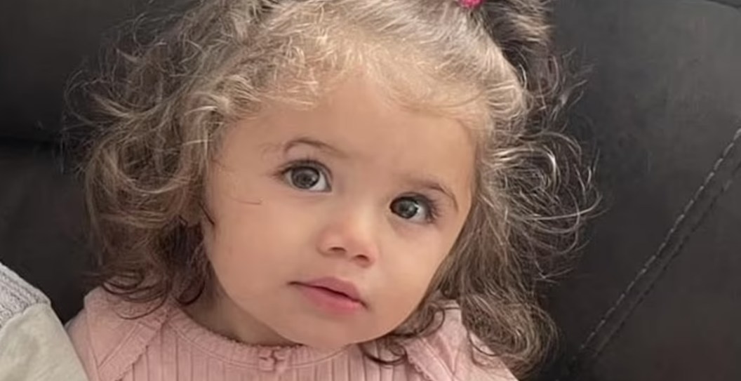 Toddler Dies After Ambulance Staff Alledgedly Told Mom They Were Too Busy To Help