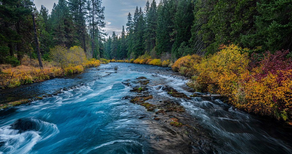 missing woman with dementia survived for days in wilderness
