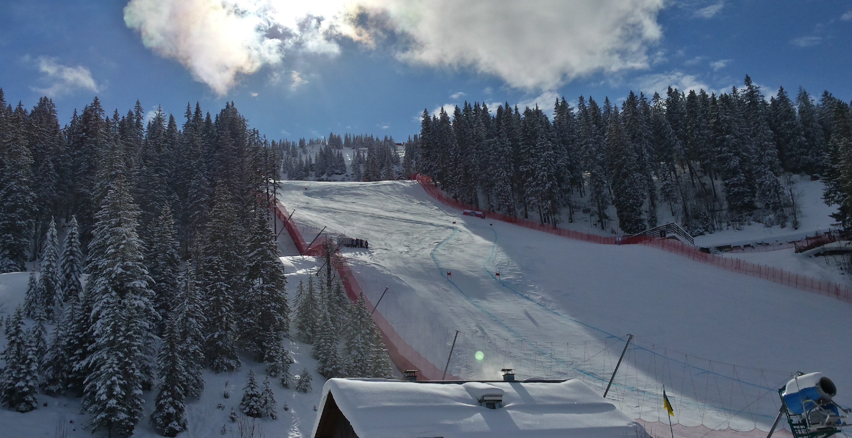 Olympian In A Coma After Gnarly Crash