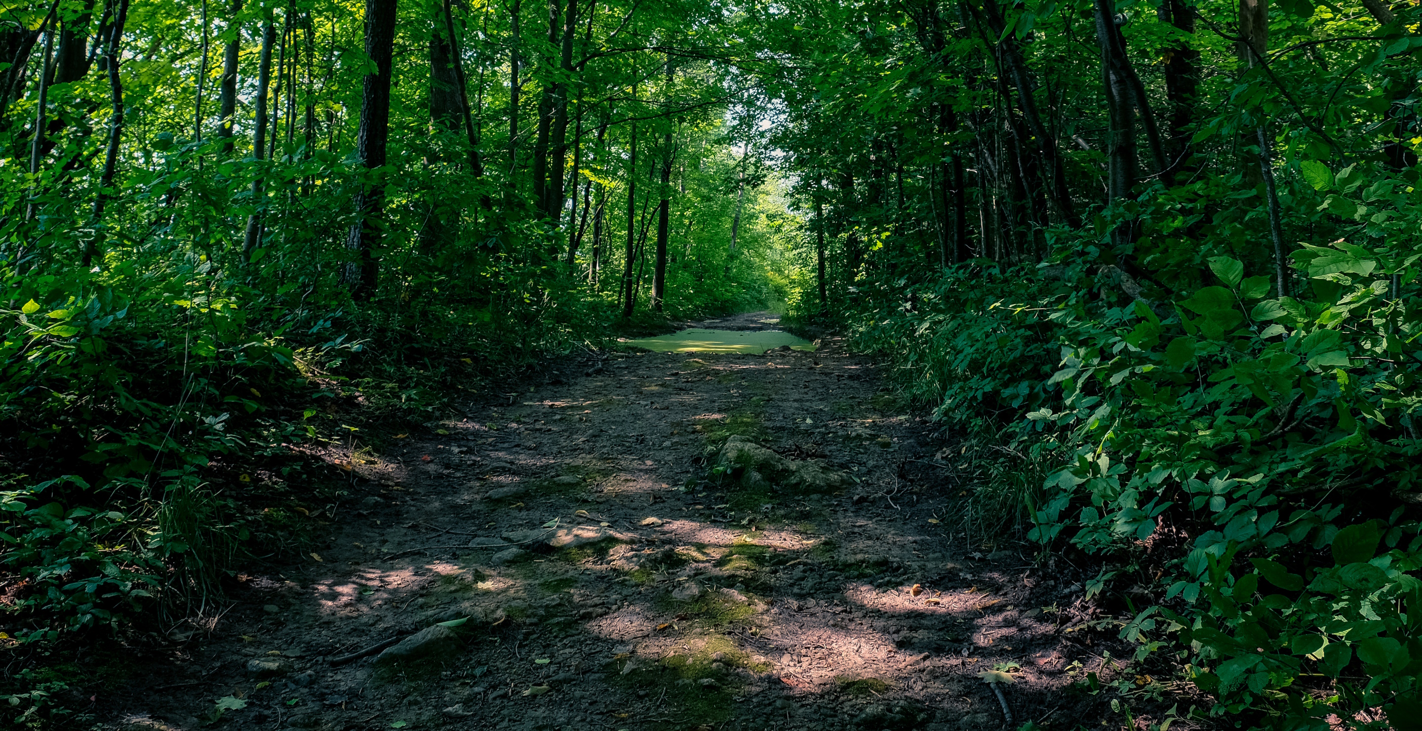 Young Woman Dies At An Illegal Party On A Hawaiian Trail