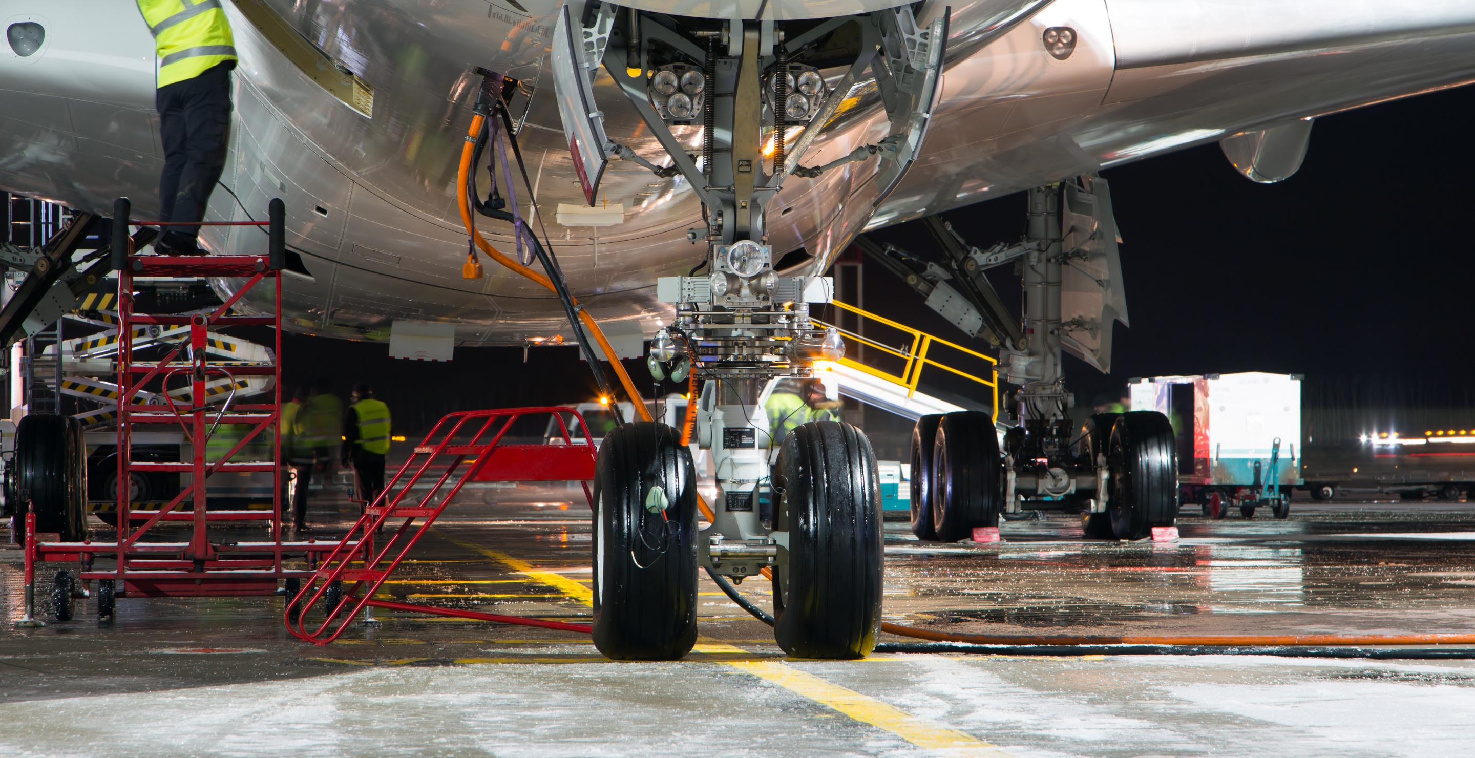 Expert Reveals Likely Way Stowaways Died In Landing Gear On JetBlue Plane