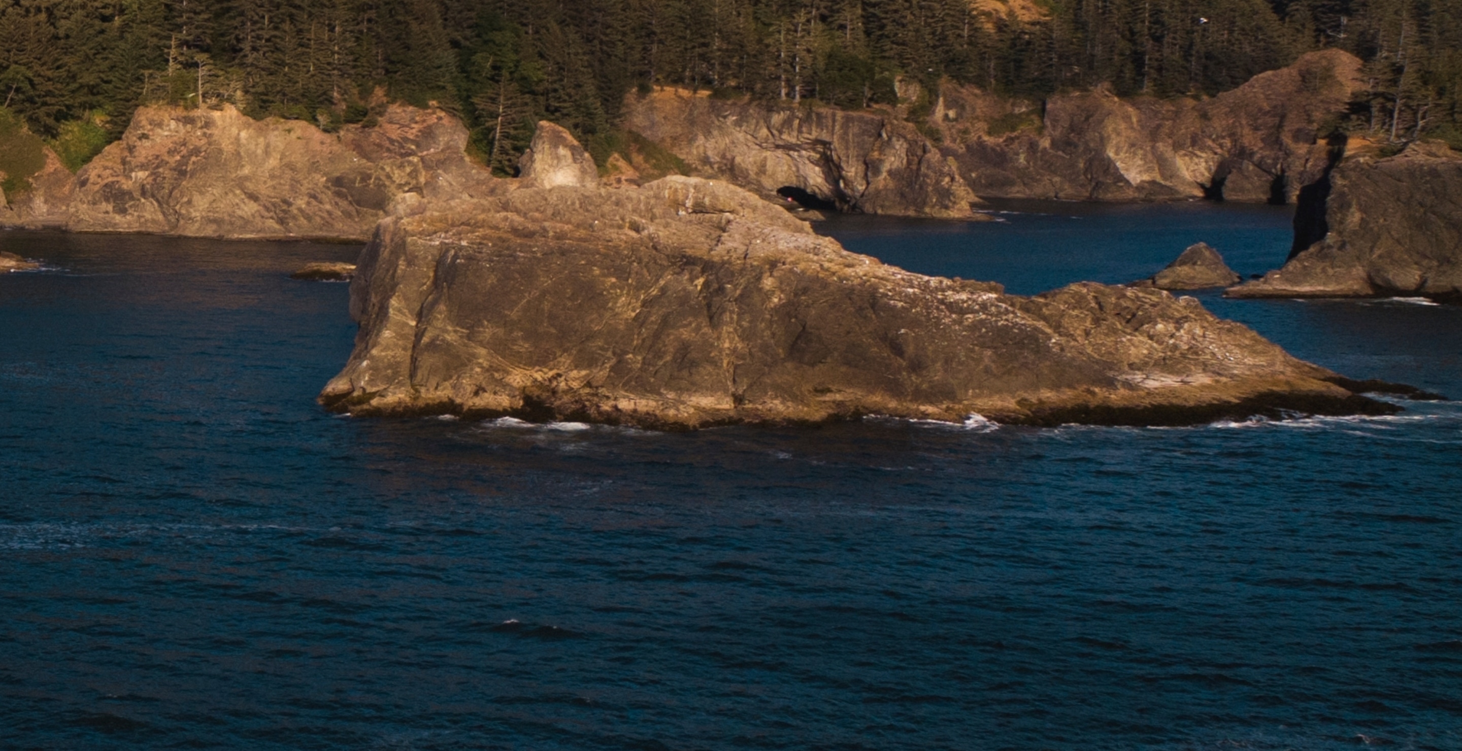 Father And 15-Year-Old Son Get Trapped On Rock