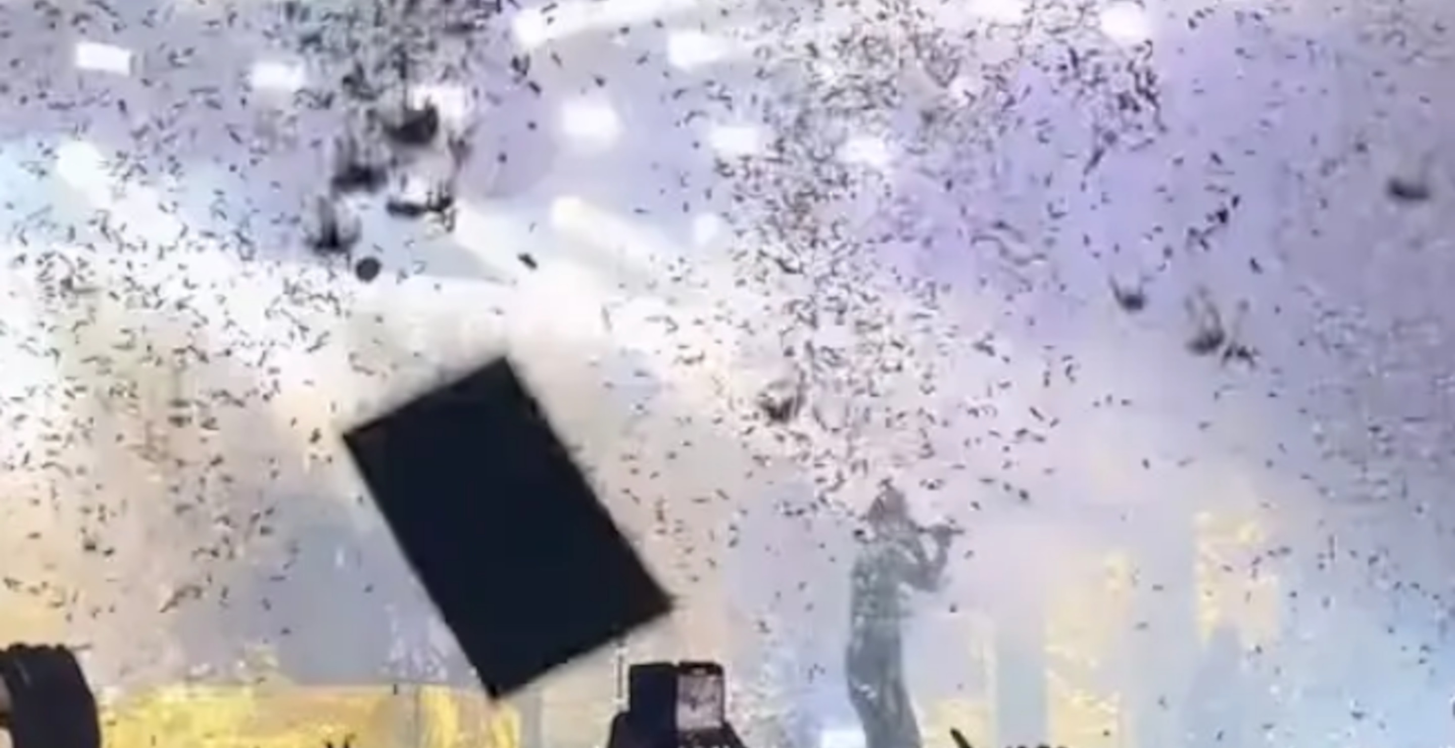 Several People Injured After Ceiling Collapsed At Rock Concert: See Shocking Footage