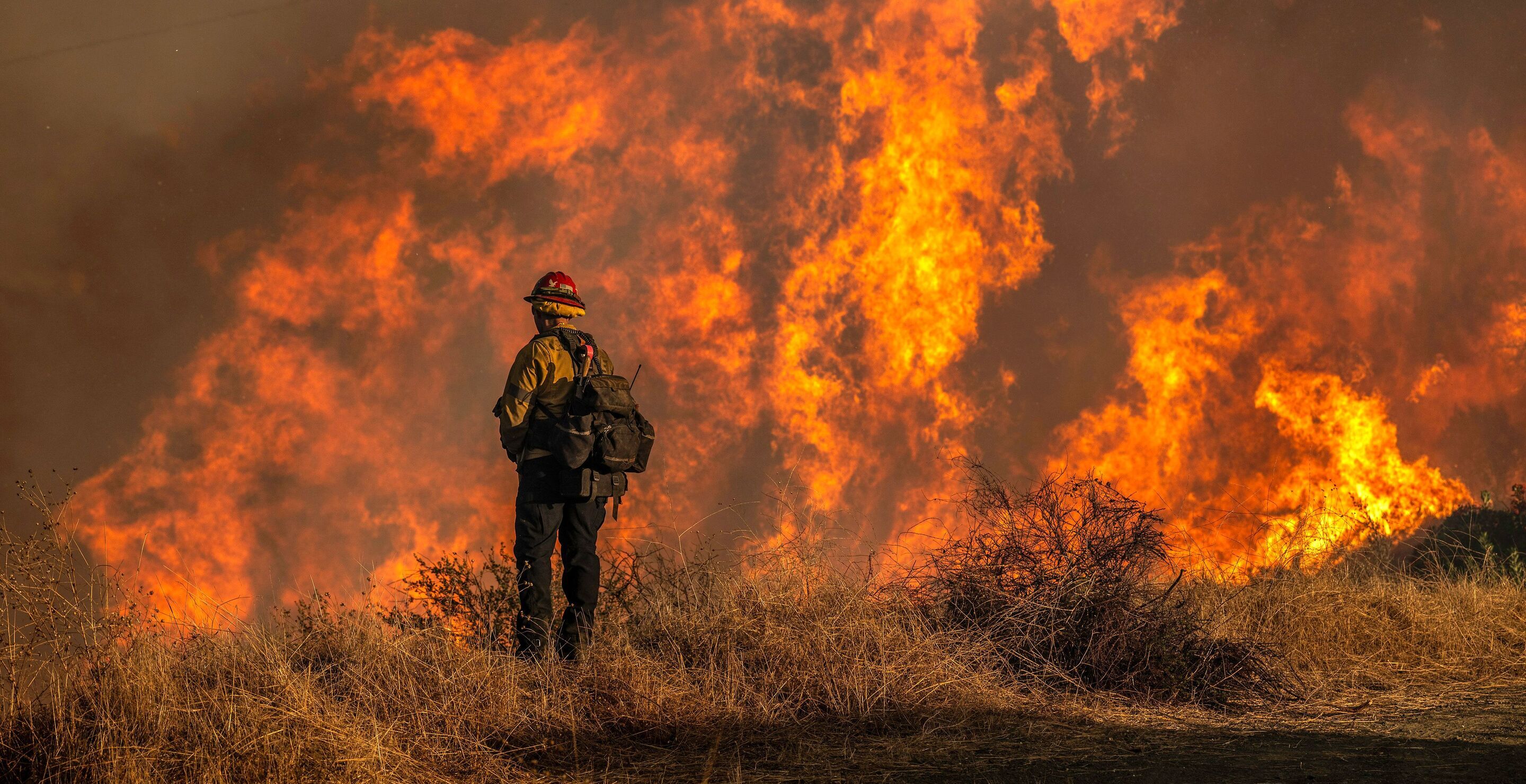 The Invisible Aftermath Of The L.A. Wildfires That You Didn't Know About