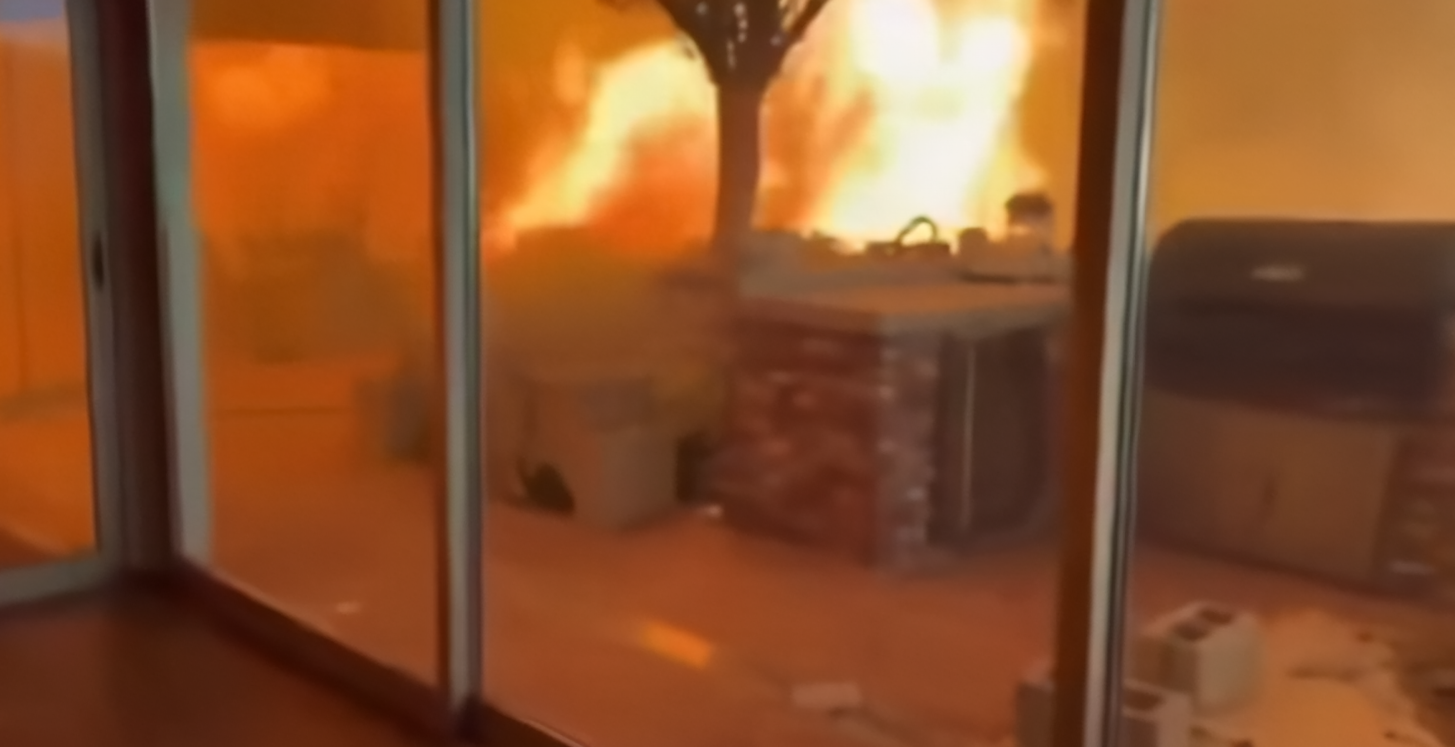 Two Men And Dog Surrounded By Flames In Terrifying Wild Fire Video