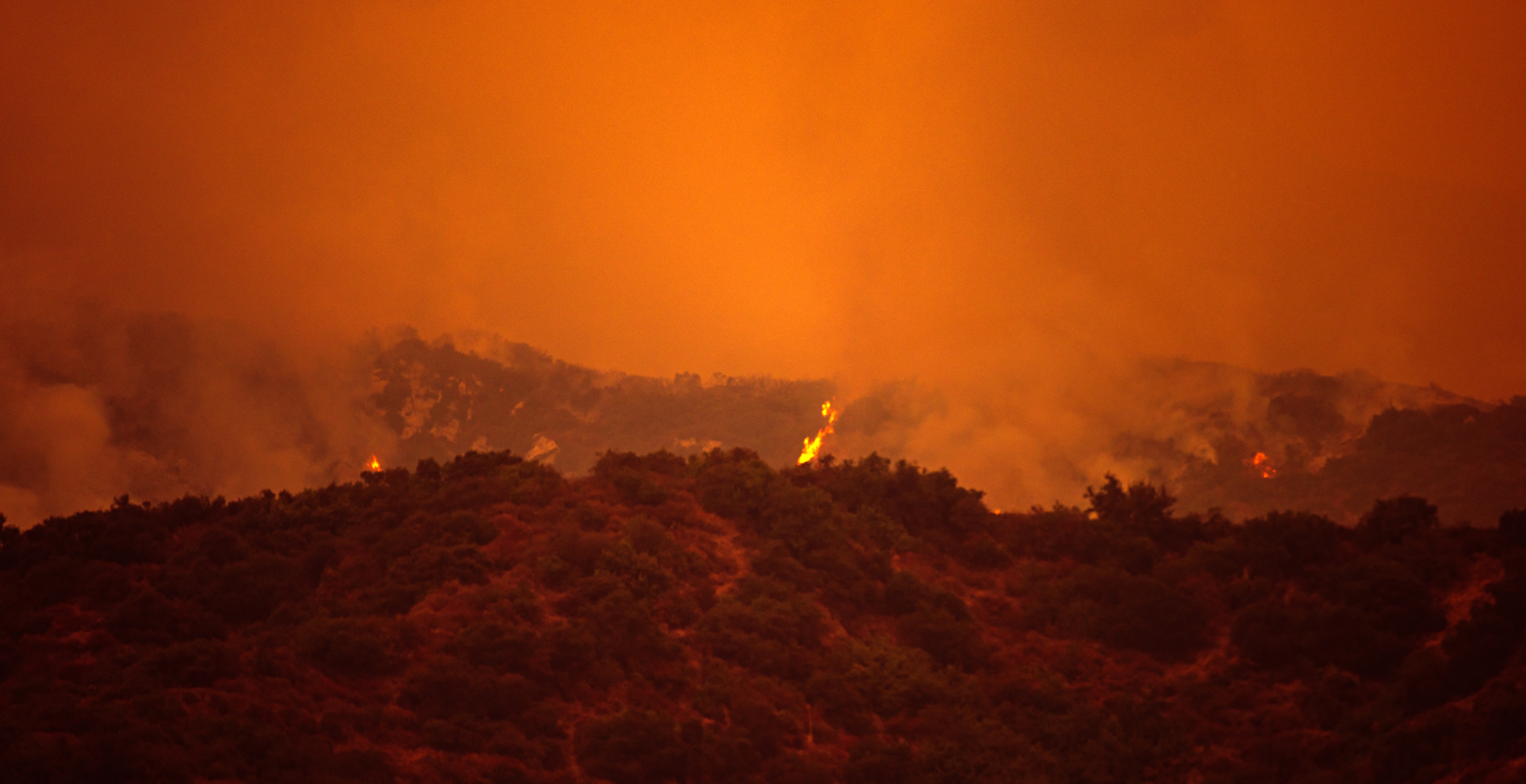 How California Man Used Horse Trailer To Save Animals During Wildfires