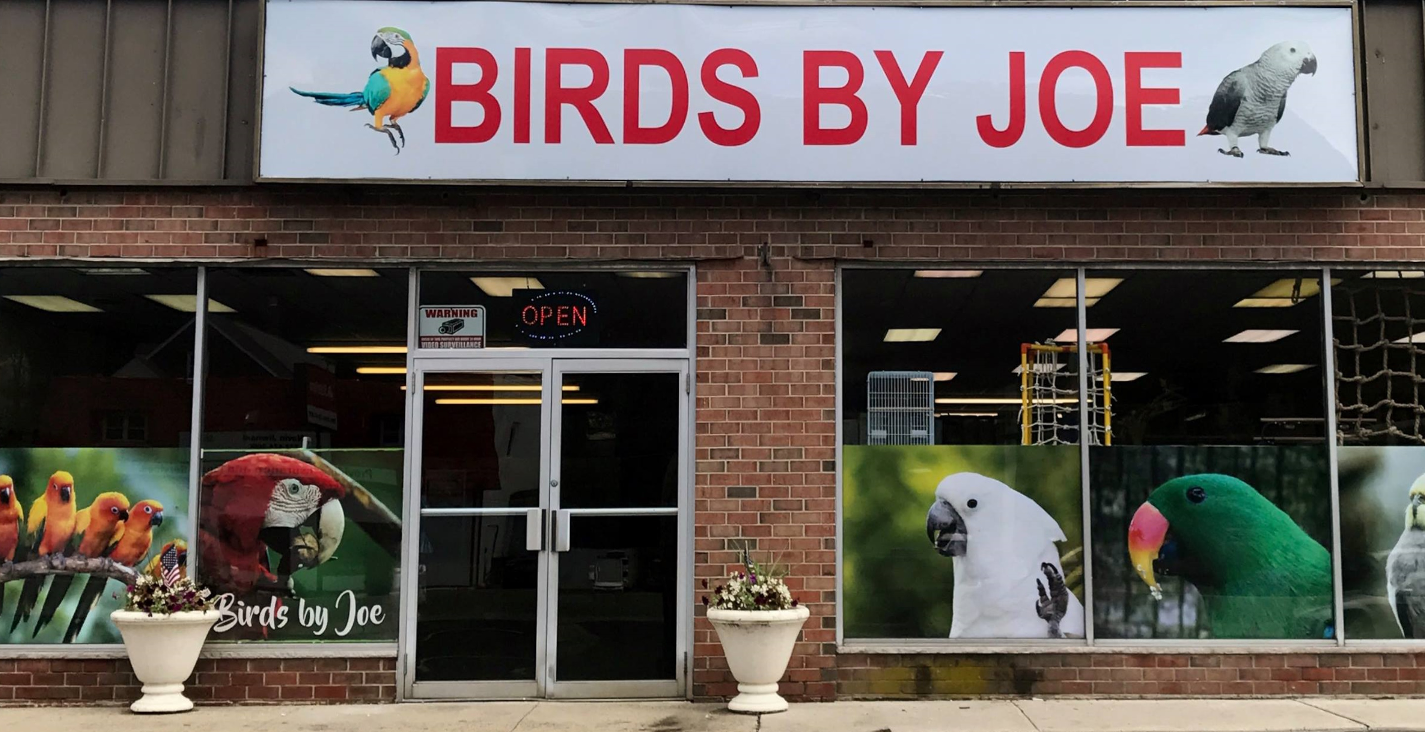 Man Shoots Pet Store Owner In Face With Crossbow Then Flees