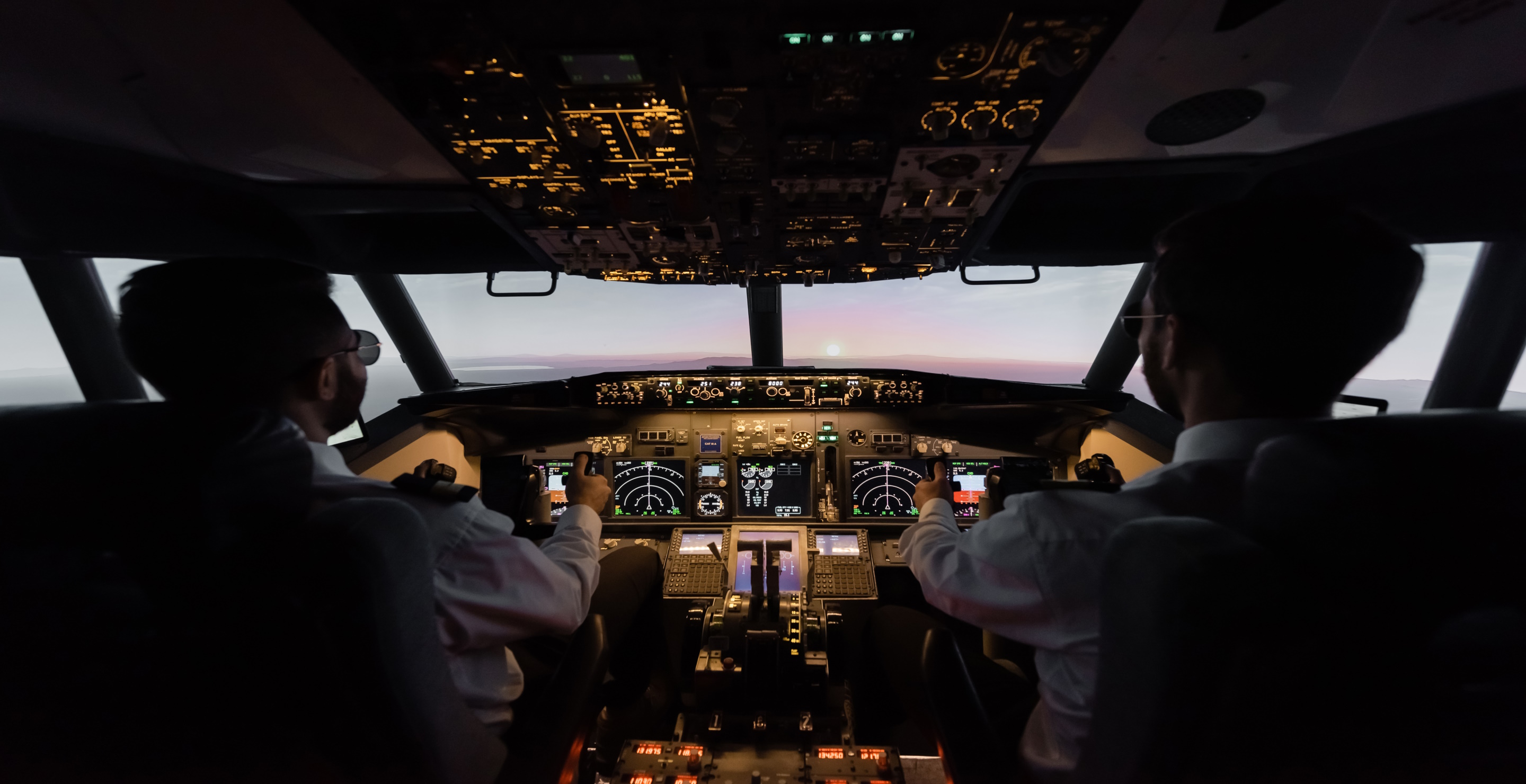 Pilot With Allergy To Spiders Gets Bit By Tarantula During Flight
