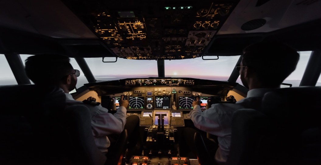 Pilot With Allergy To Spiders Gets Bit By Tarantula During Flight
