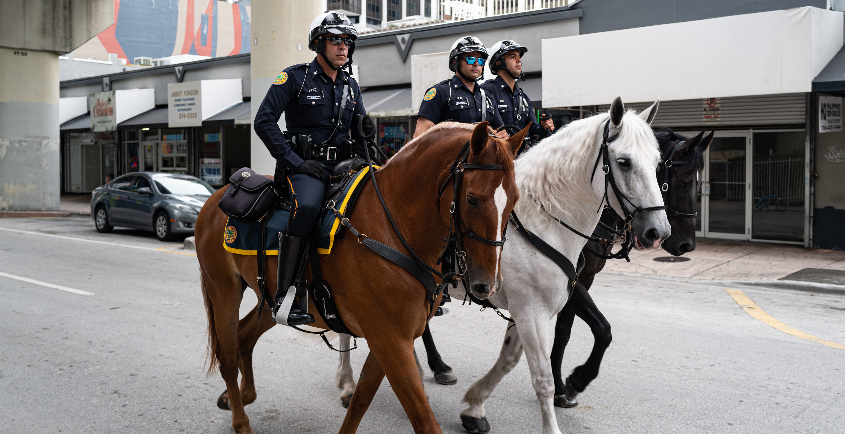 Sheriffs On Horseback Chase Drug Suspect Running On Foot In Wild Chase