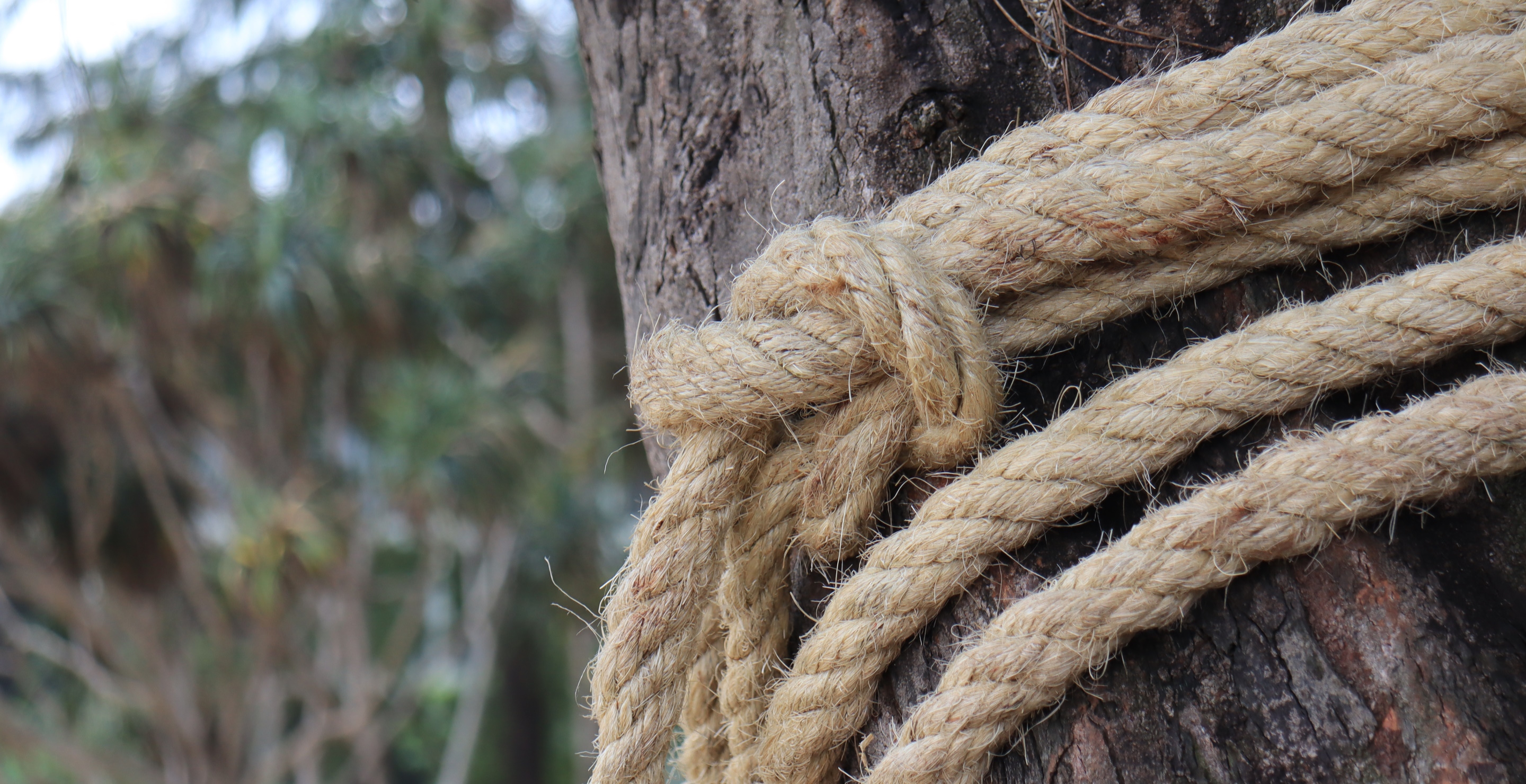 Father And Girlfriend Sentenced After Tying Daughter To Tree For 24 Hours