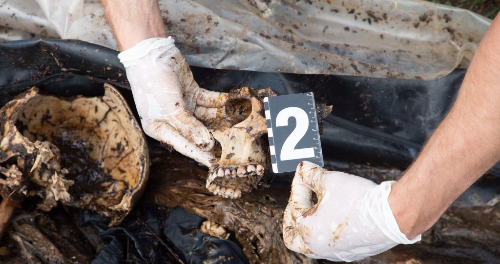 serial killer's secret revealed when police find 10,000 bone fragments on property