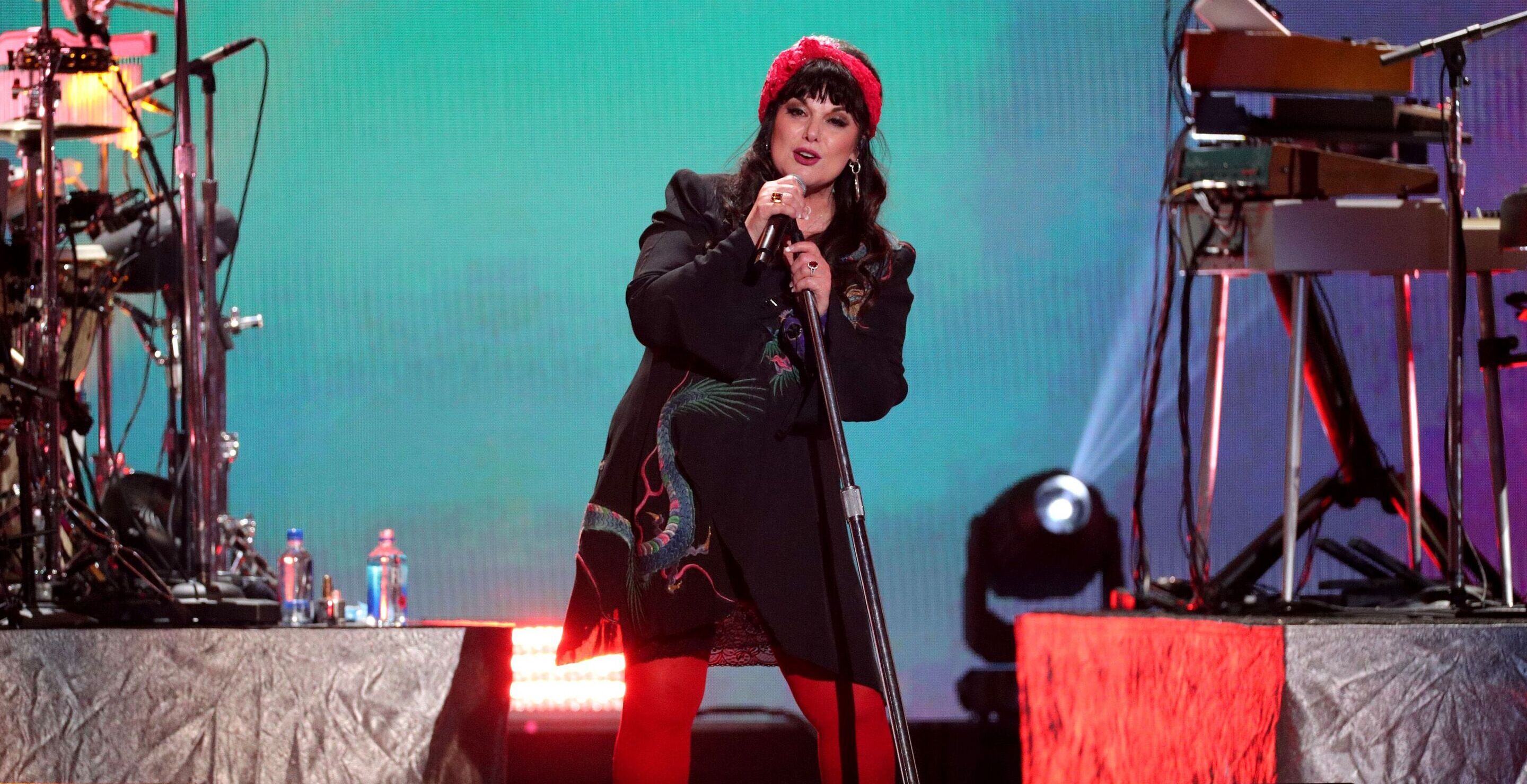 Ann Wilson Has Fans Worried After Appearing On Tour In Wheelchair And Sling
