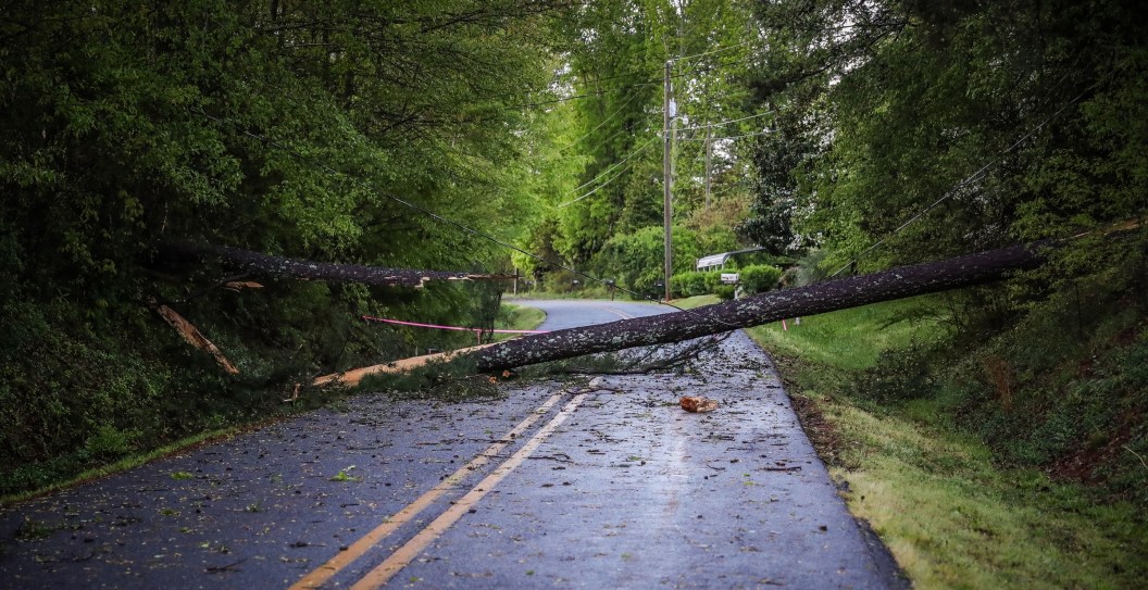 Massive Tree Inches From Falling Onto And Squashing Family Of Three