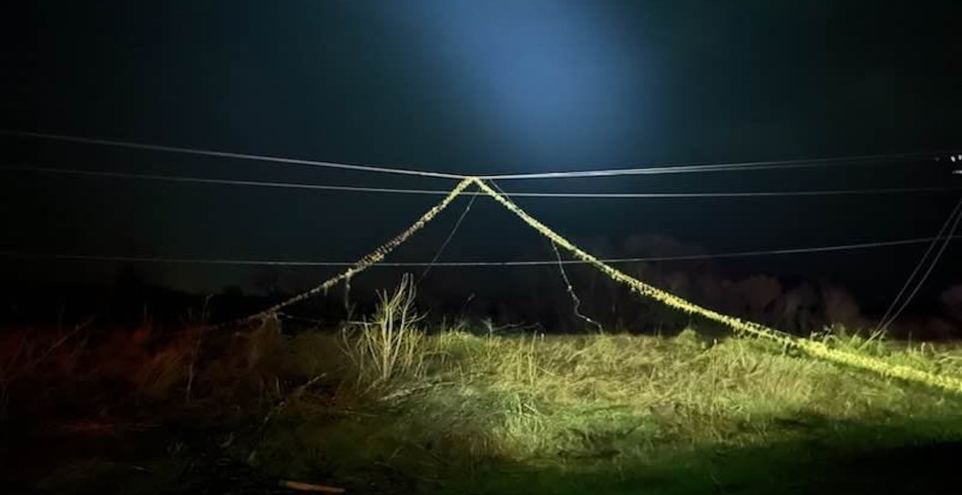 Woman Dies After Accidentally Touching Power Line In Backyard