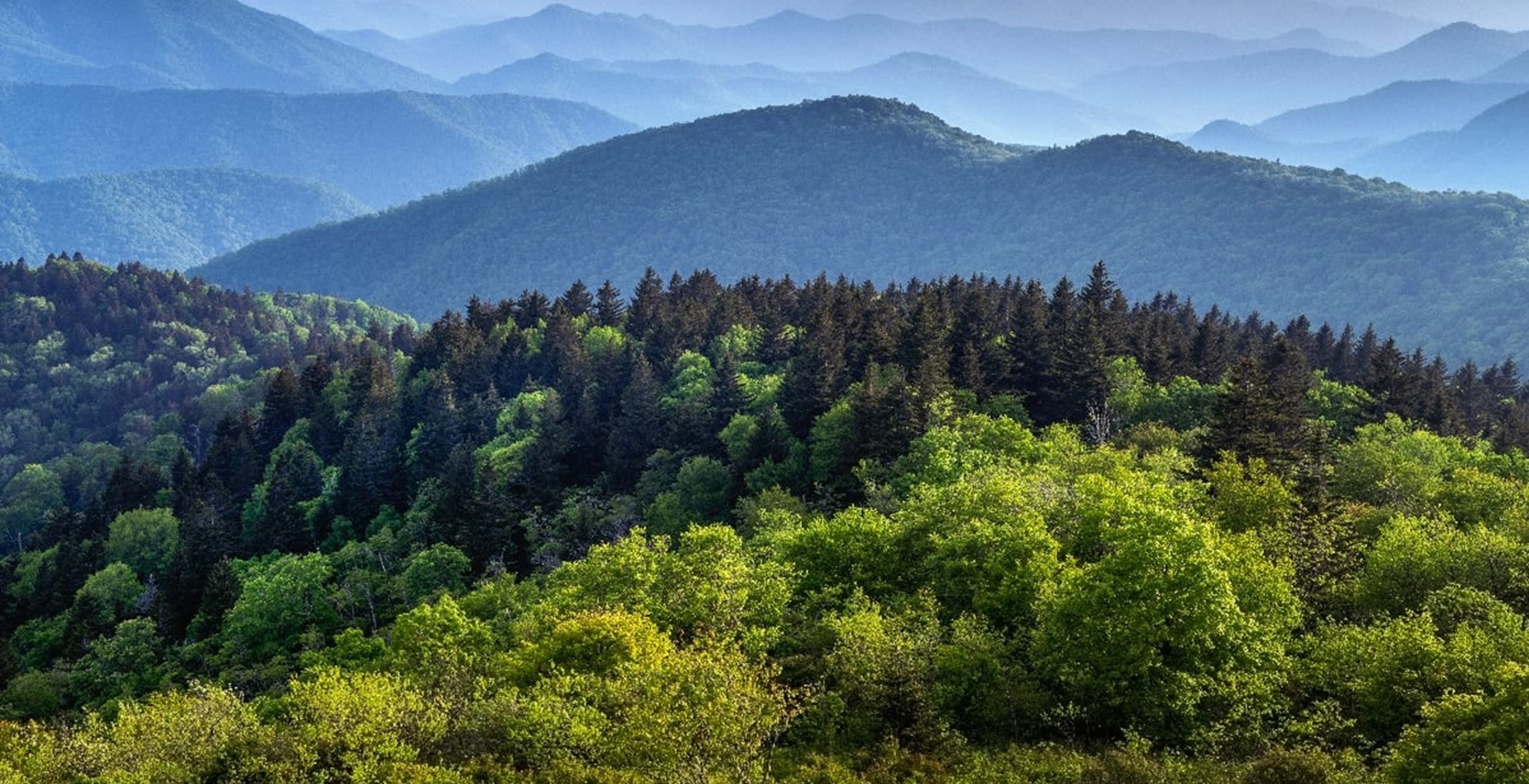 Great Smoky Mountains, boy, brain bleed, hike