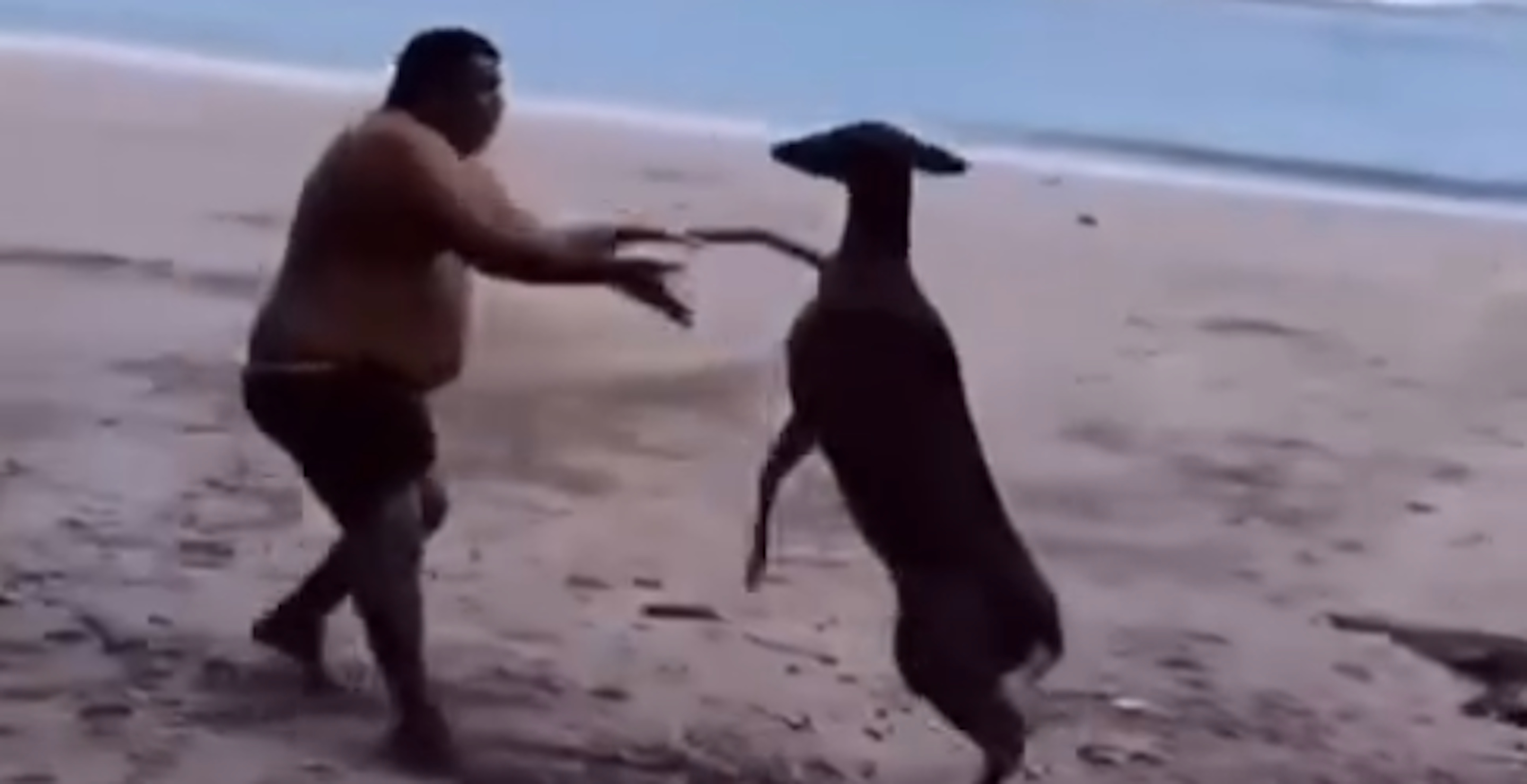Man Thought He Could Fight A Deer Until It Unleashed Its Inner Rocky