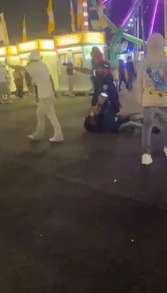 Brawl at Texas State Fair
