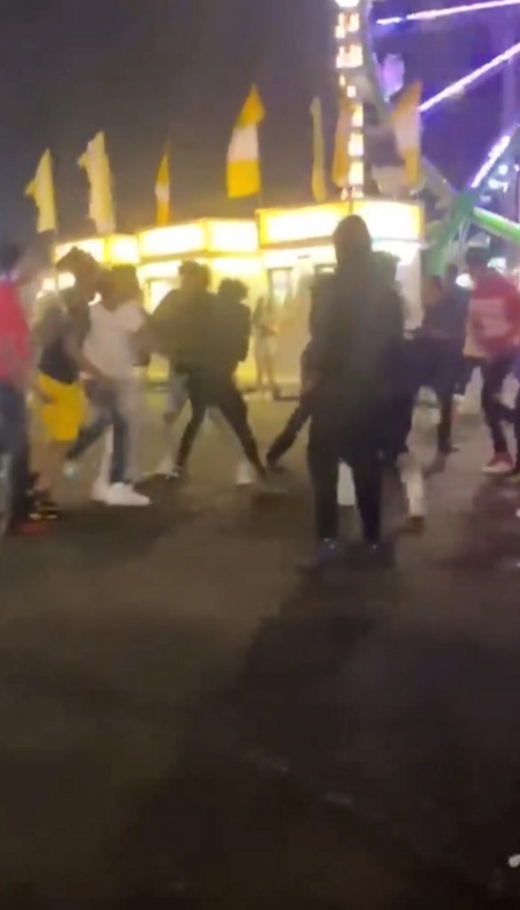 Brawl at Texas State Fair