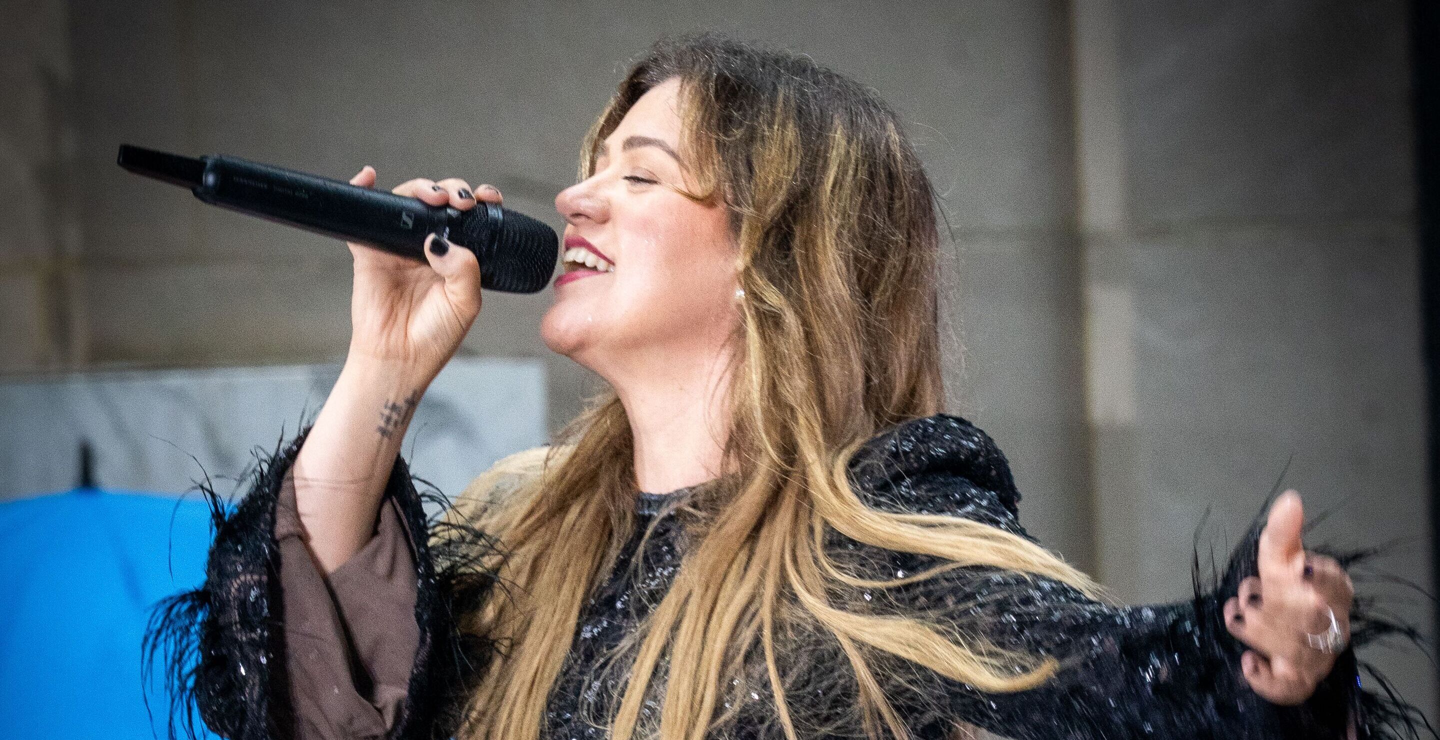 The Surprising TV Show That Inspired Kelly Clarkson's Latest Song