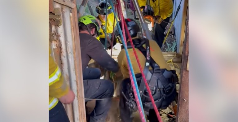 15-Year-Old Gets Trapped in Well After Trying To Save Dog
