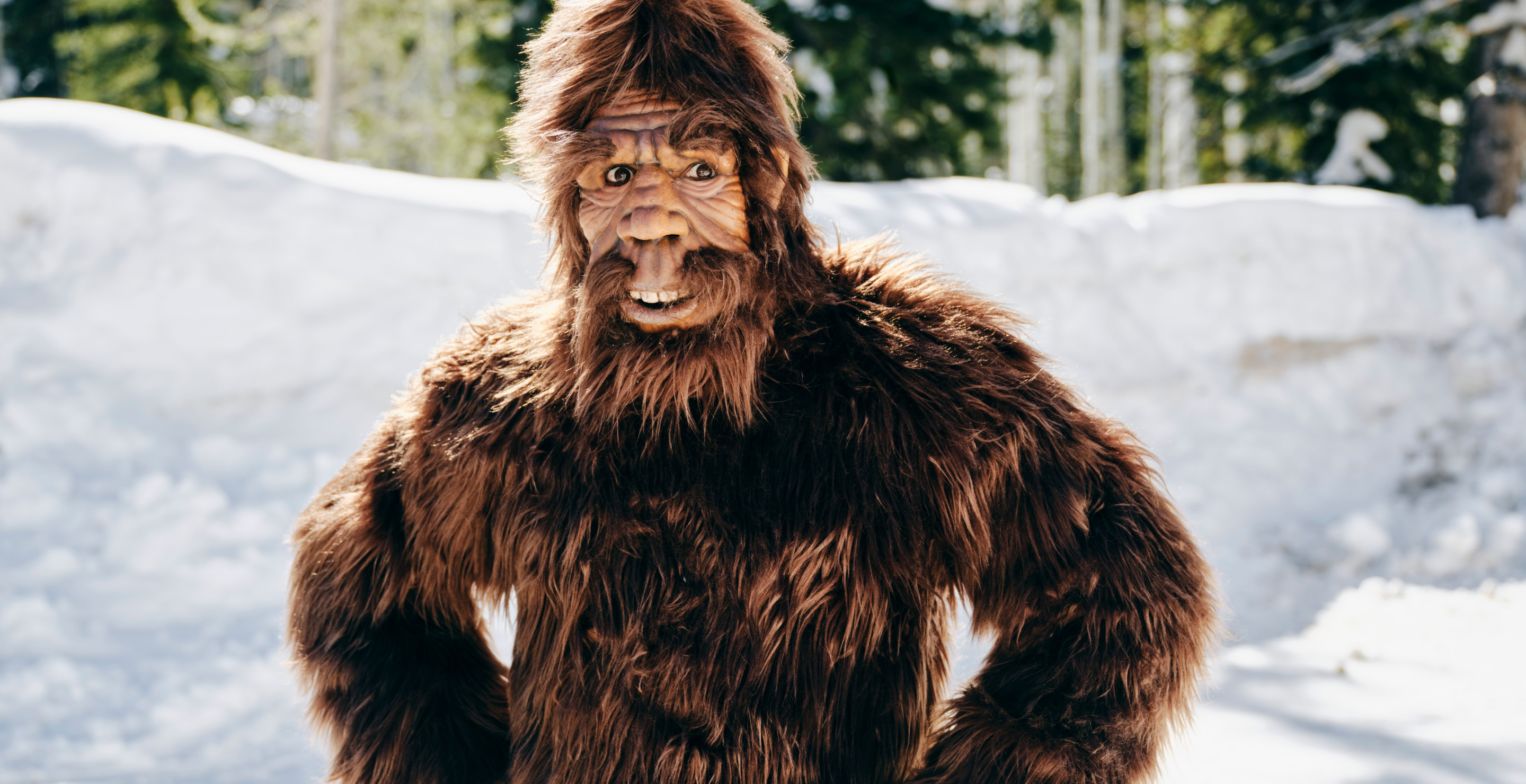 Residents of Ohio Town Keep Seeing Big Foot With 10 Sightings So Far