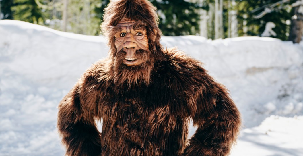 Residents of Ohio Town Keep Seeing Big Foot With 10 Sightings So Far