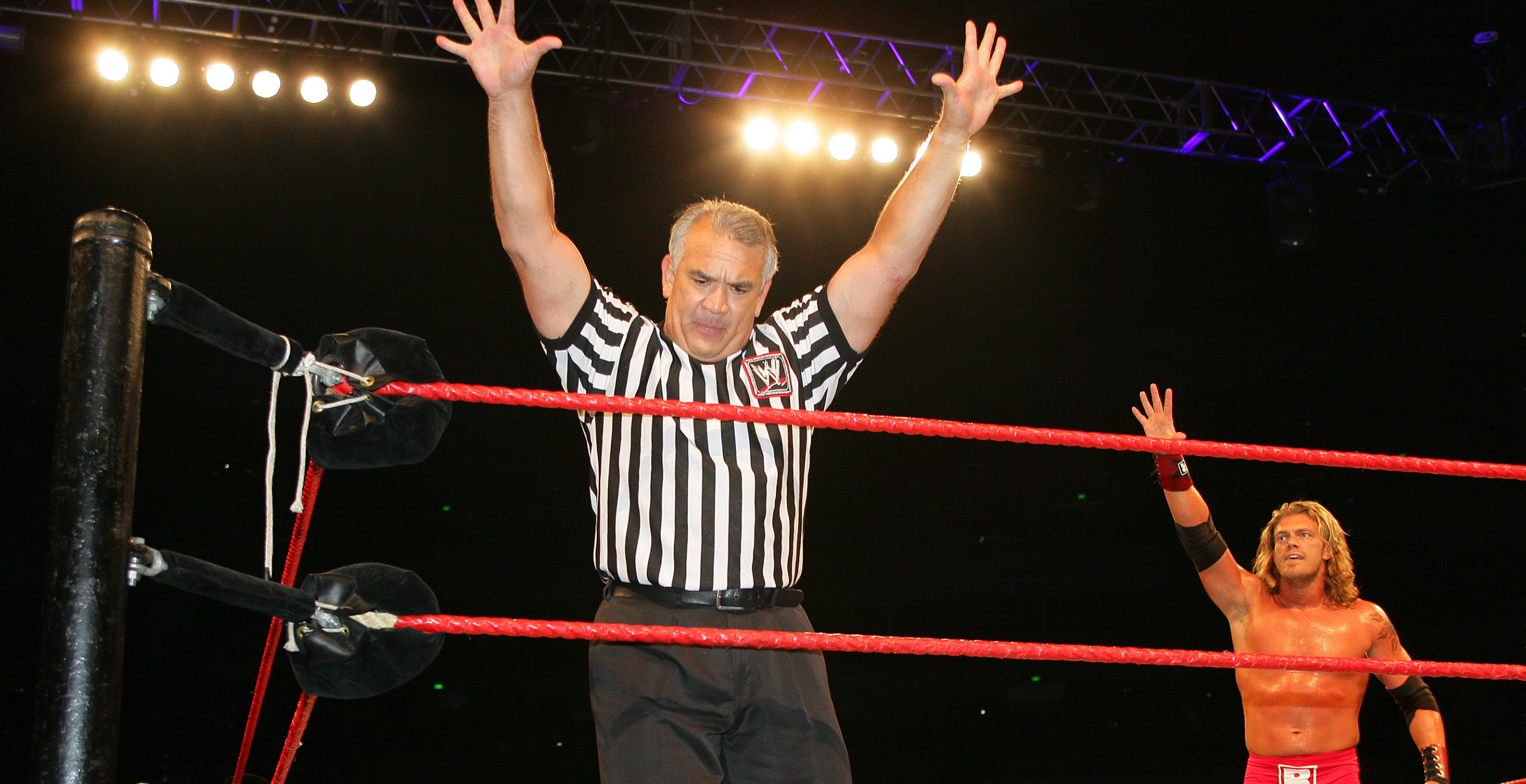 Professional wrestling referee