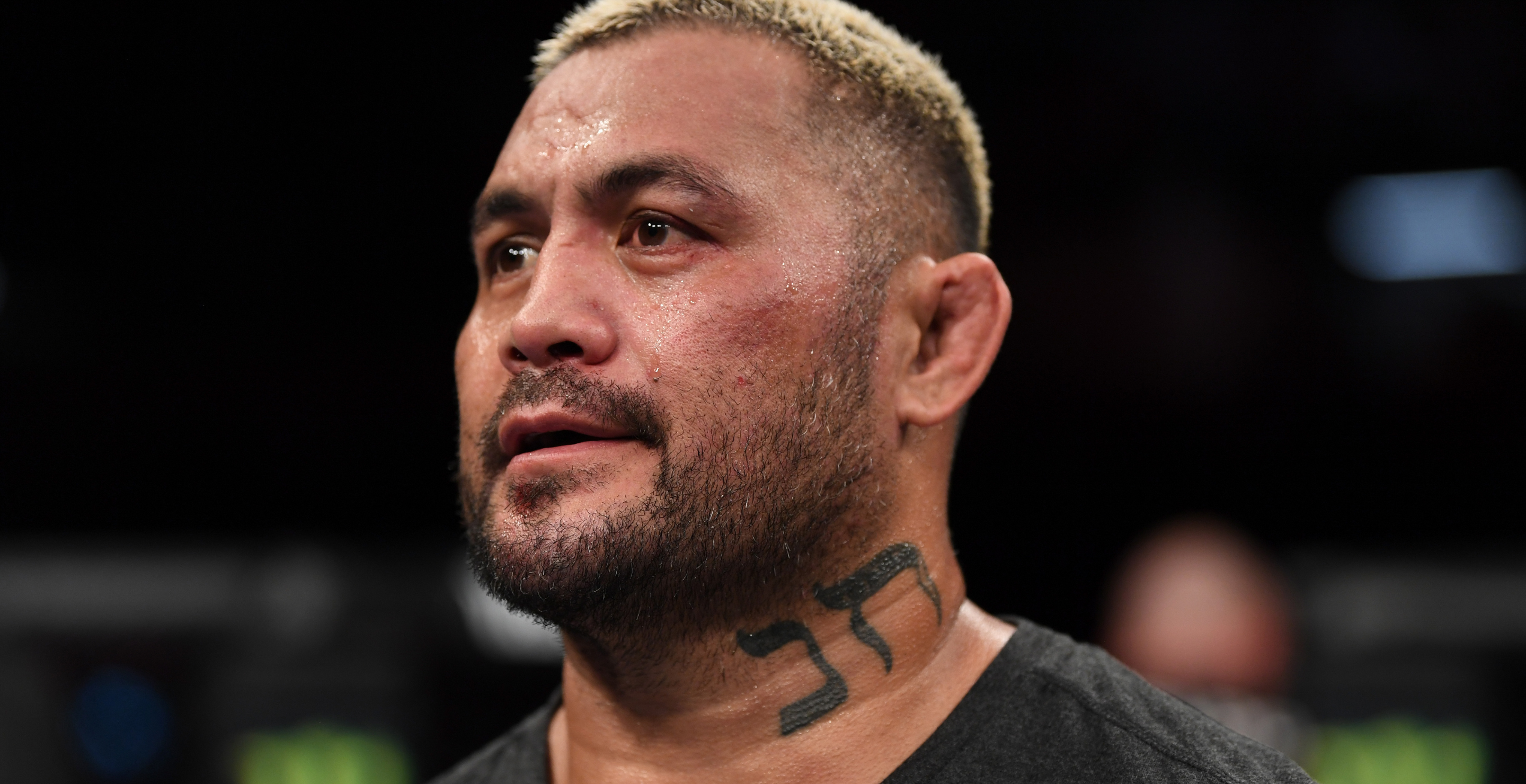 UFC fighter Mark Hunt