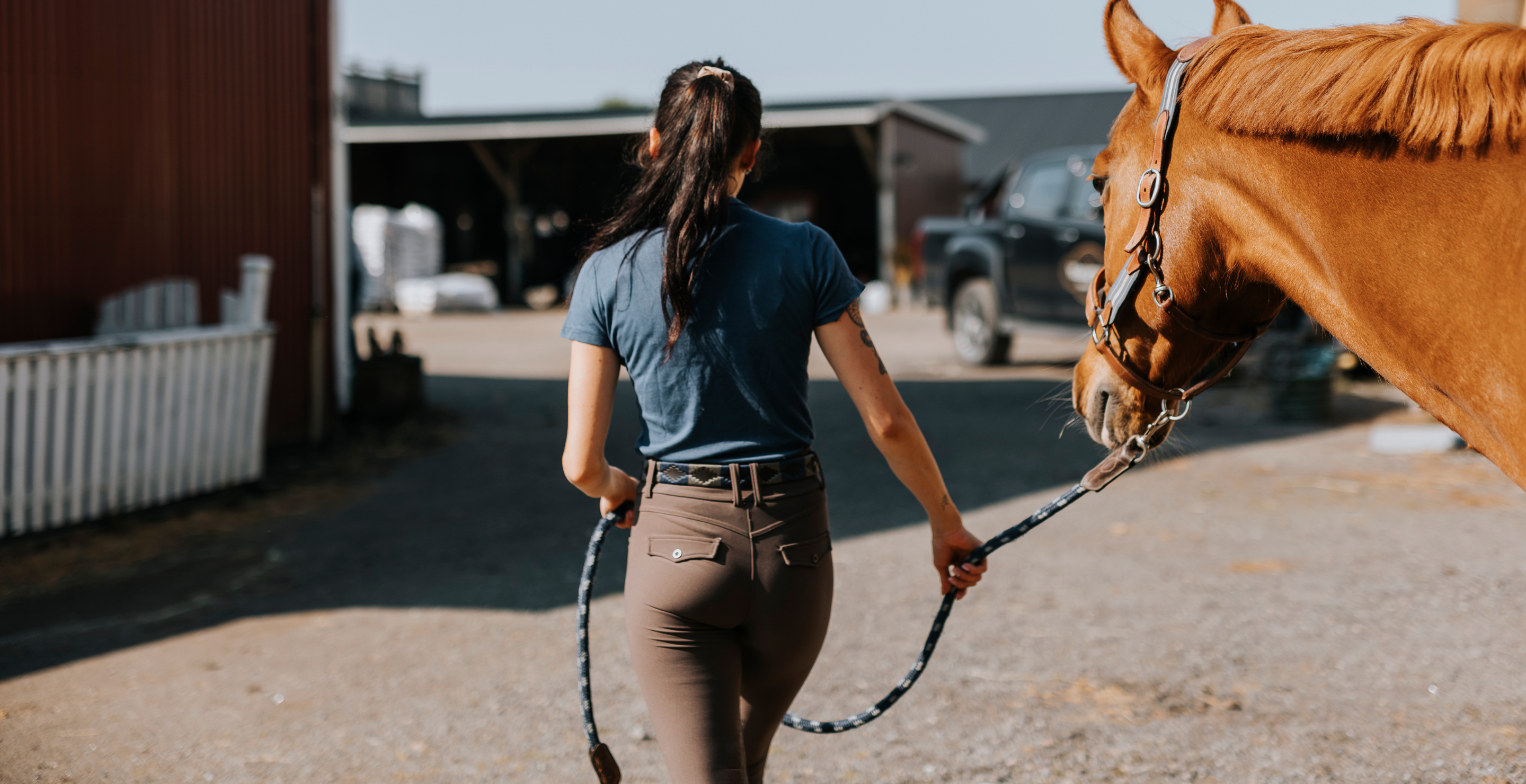 Horse Rider