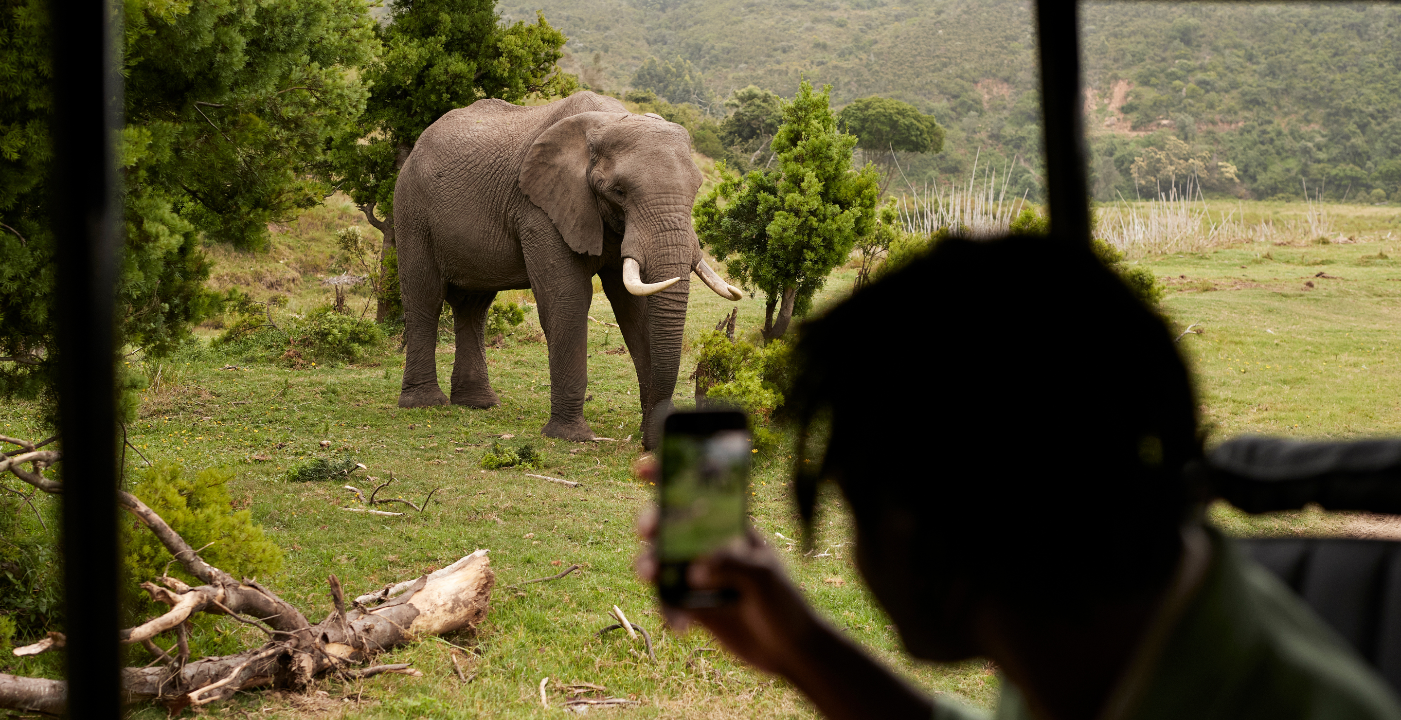Safari Owner Who Said He'd Rather Die in Elephant Attack Dies in Exactly That Way